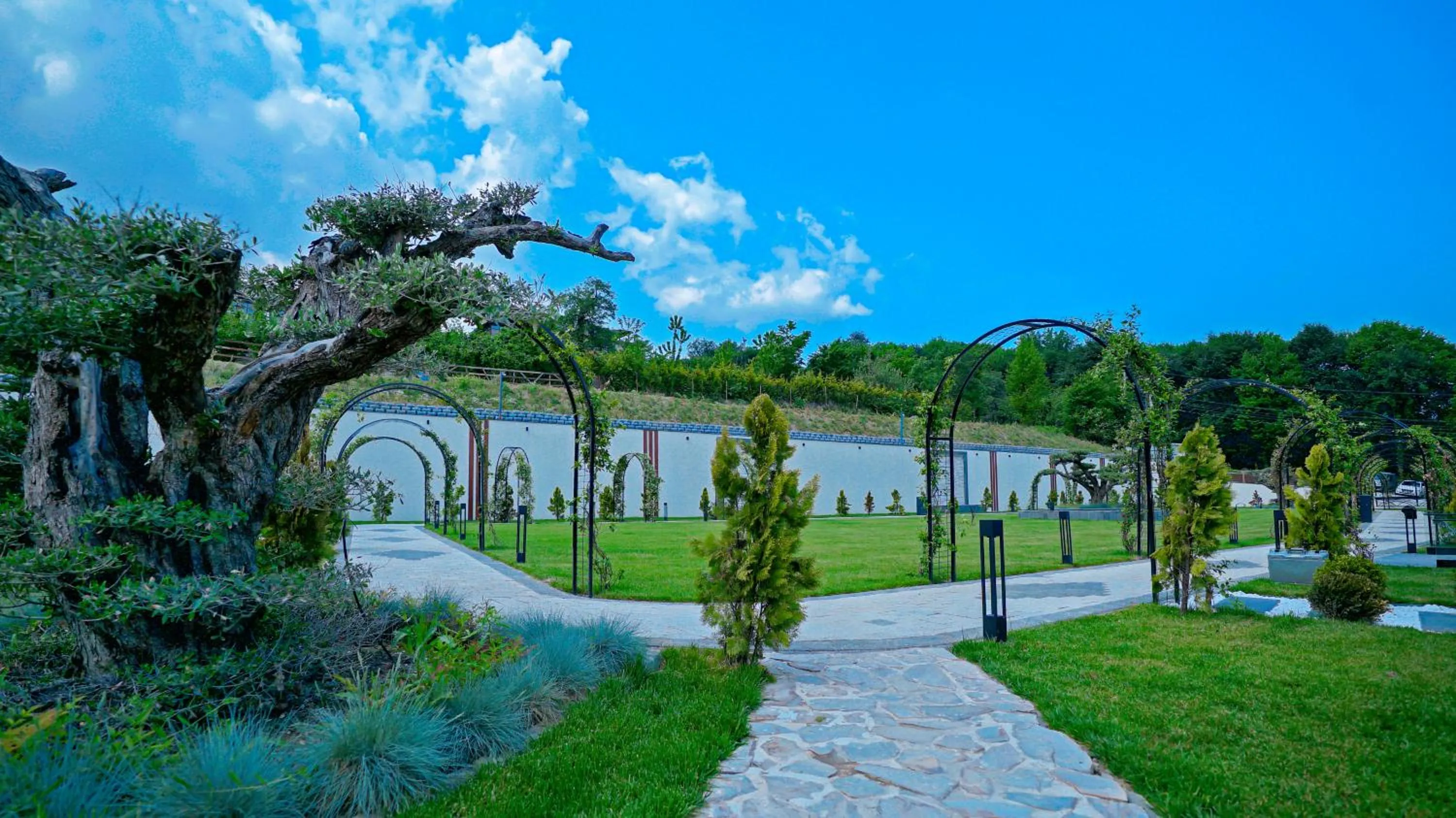Natural landscape in Cabir Deluxe Hotel Sapanca