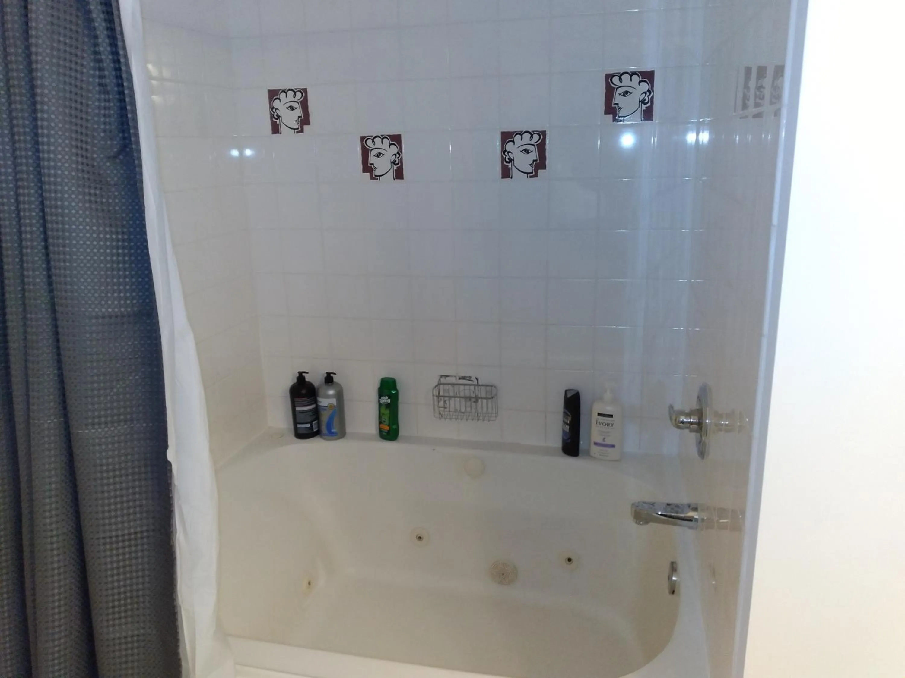 Fairmont Mountain View Villas