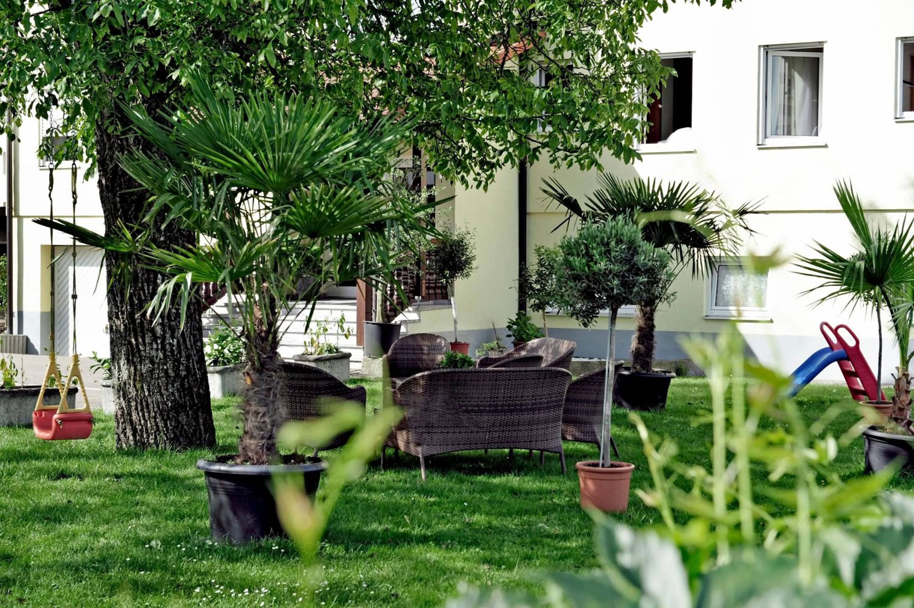 Balcony/Terrace in Hotel Tannenhof