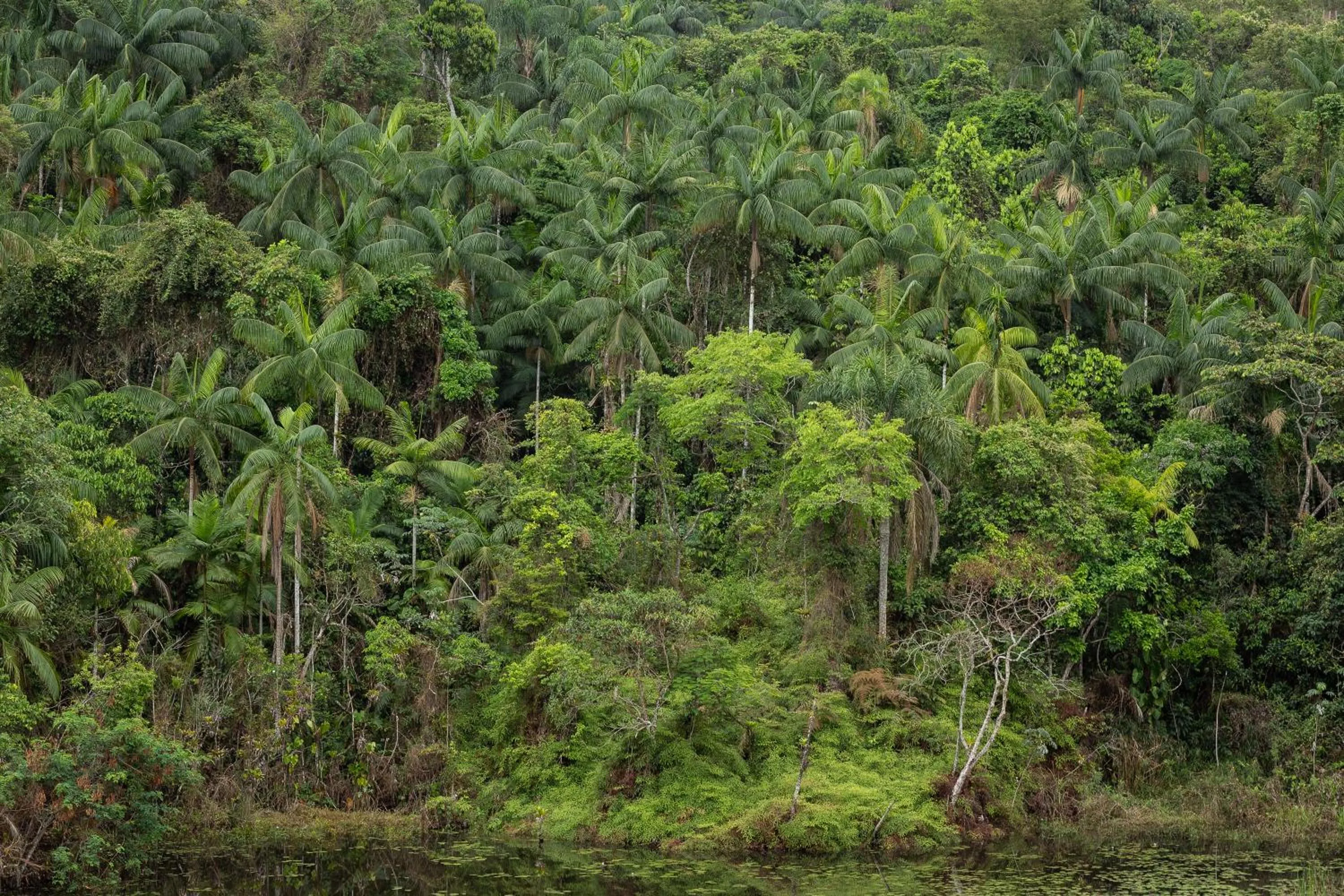 Itatiaia Resort & Eventos