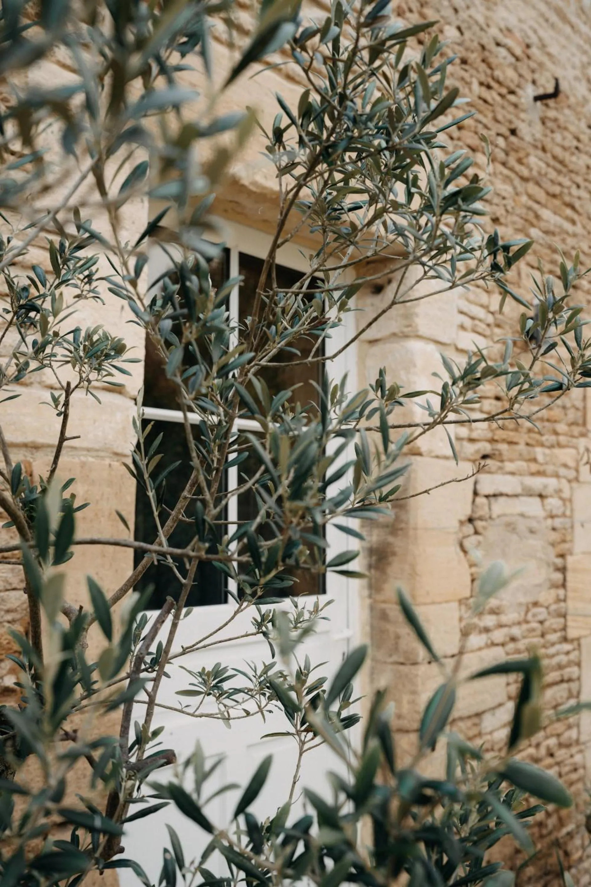 Property building in Les Granges Pelloquin