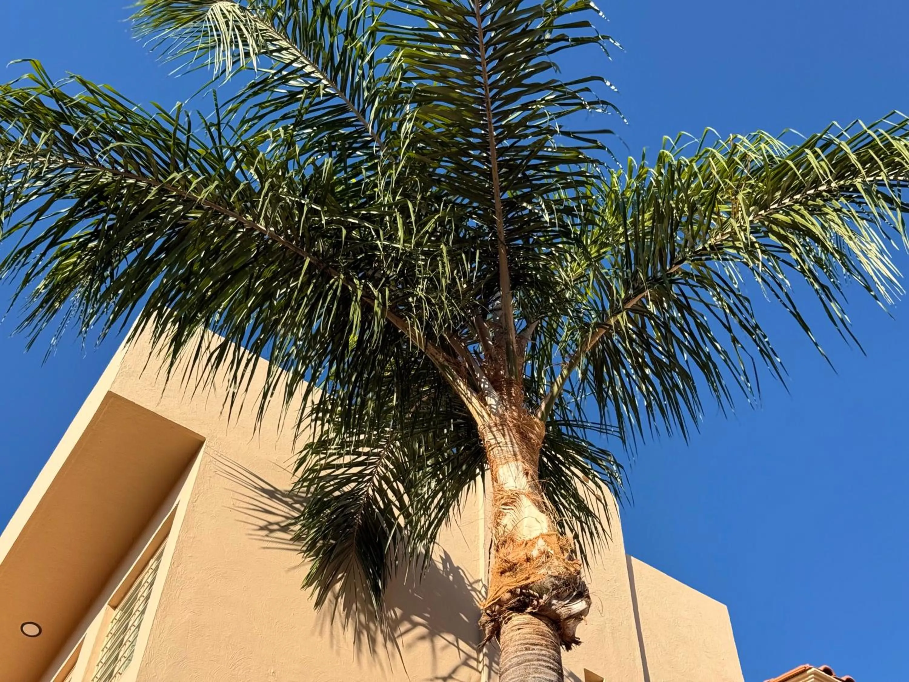 Departamentos Tequila