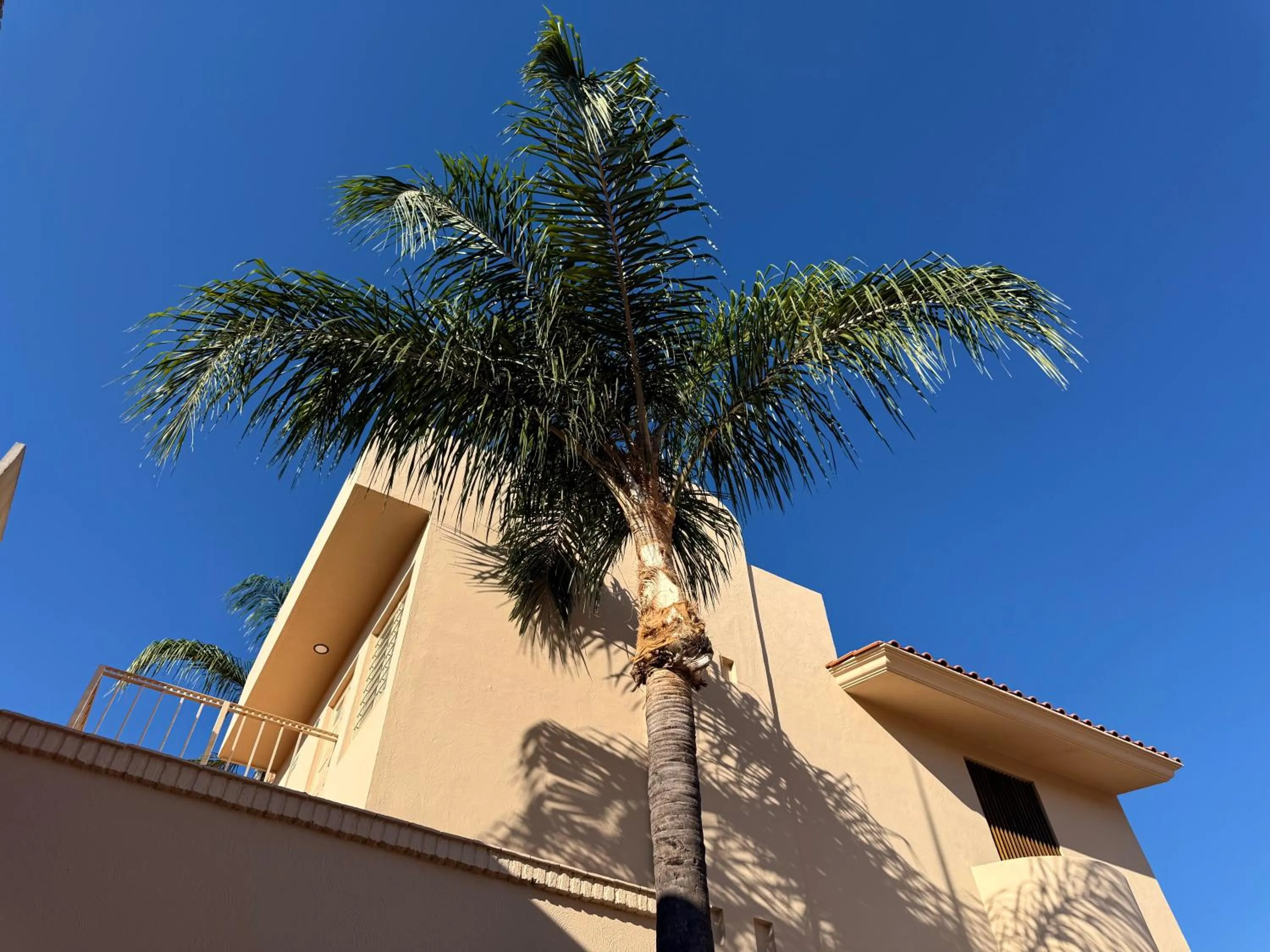 Departamentos Tequila