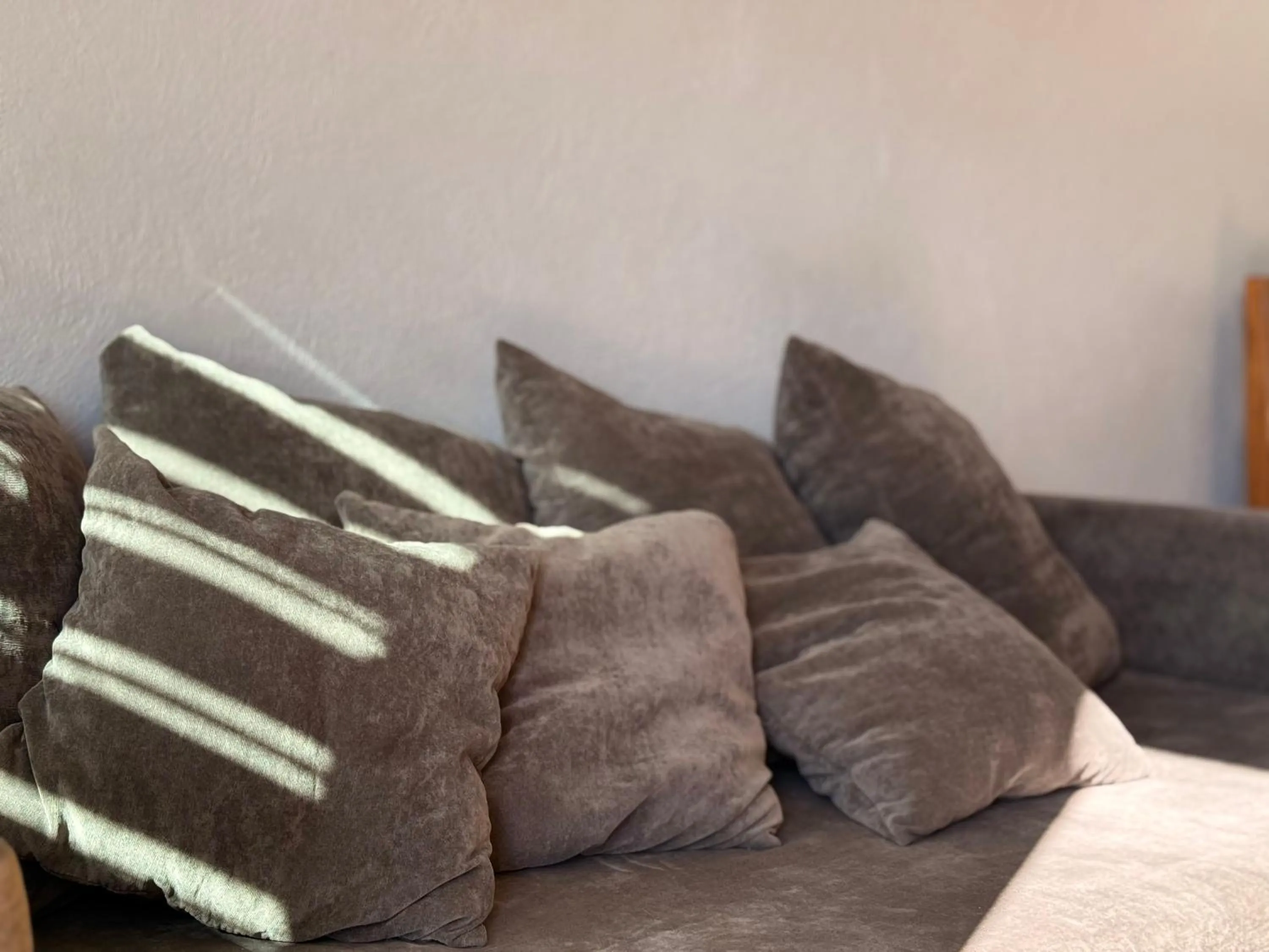 Departamentos Tequila