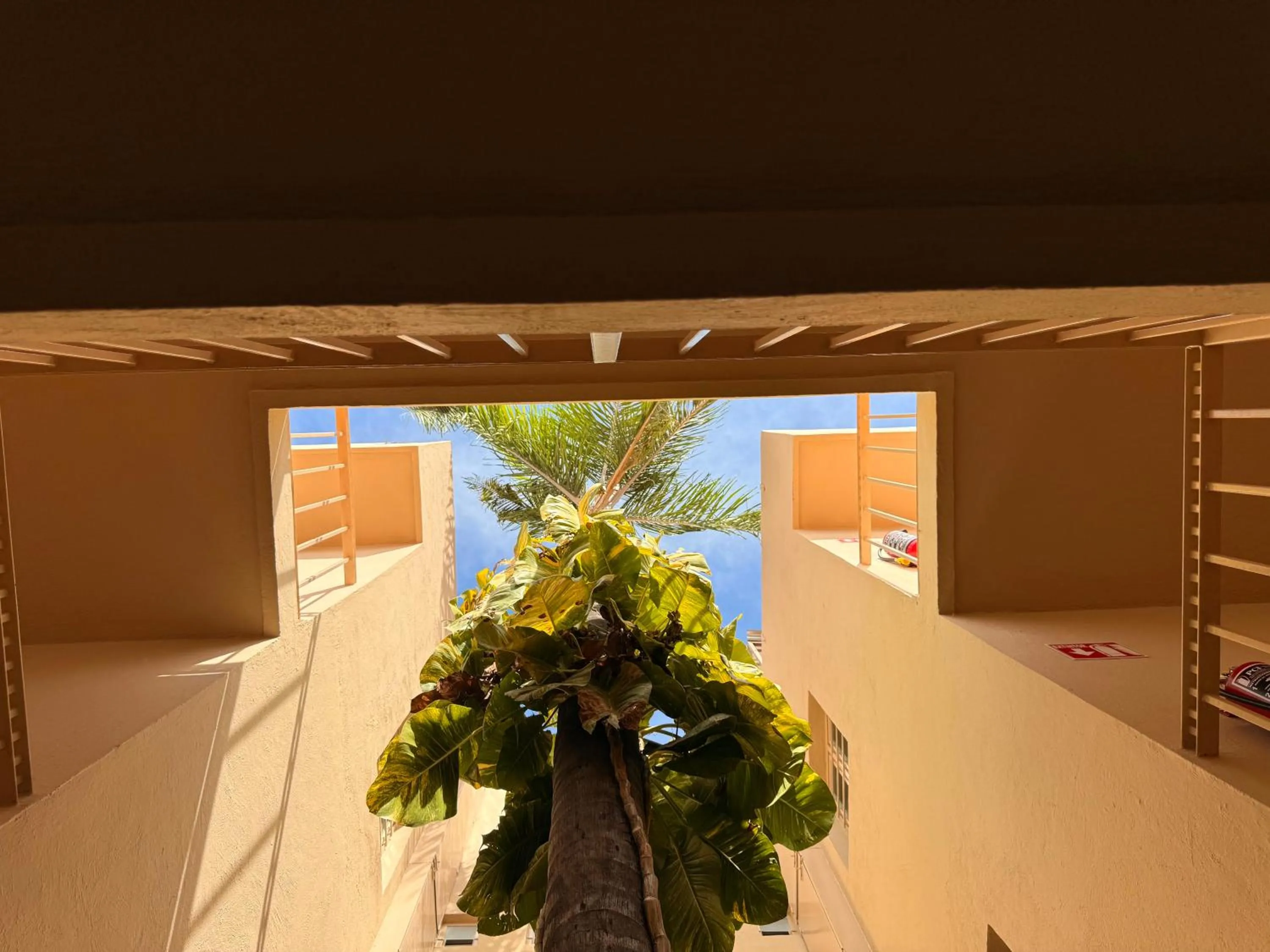 Departamentos Tequila