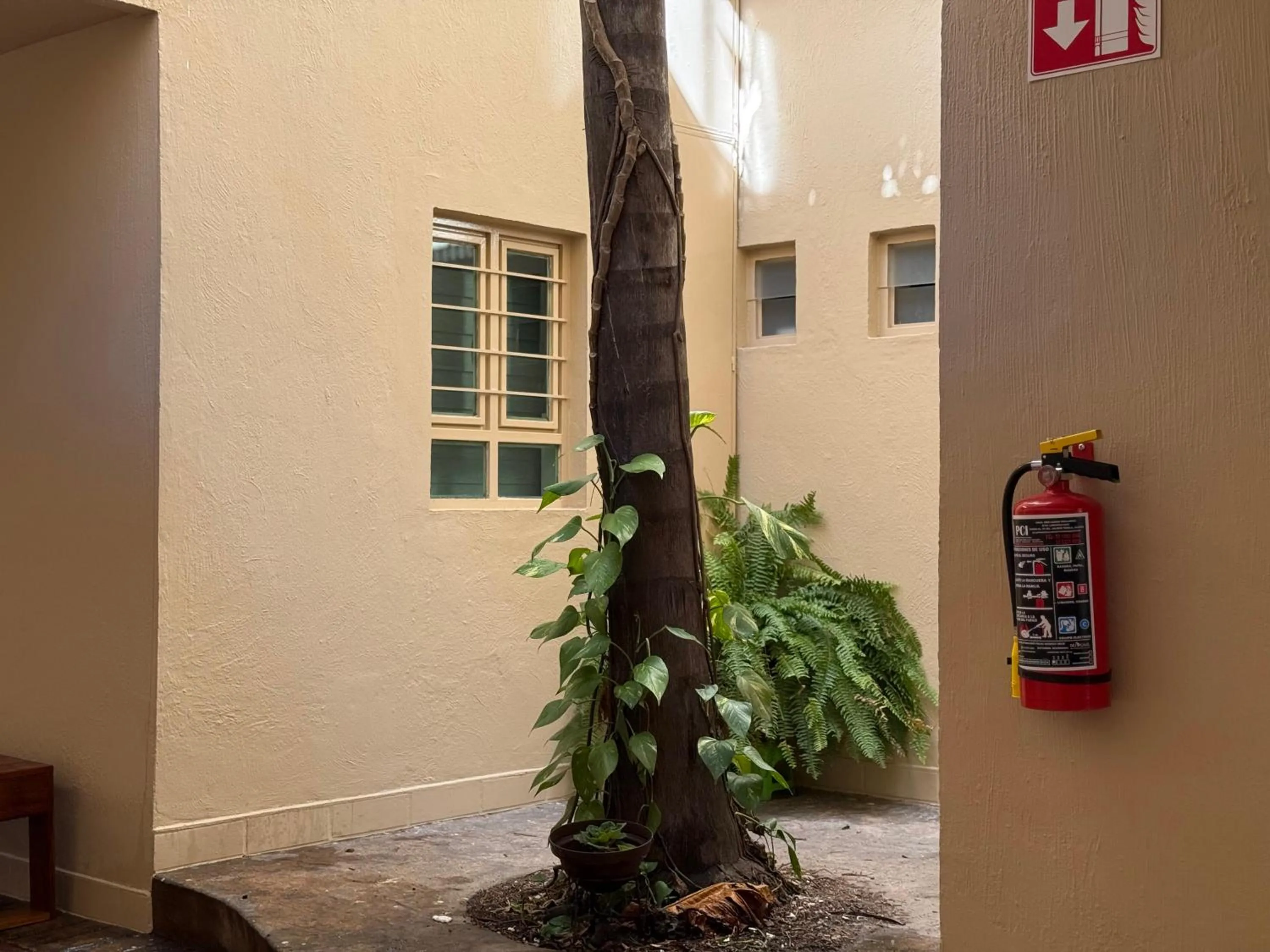 Departamentos Tequila