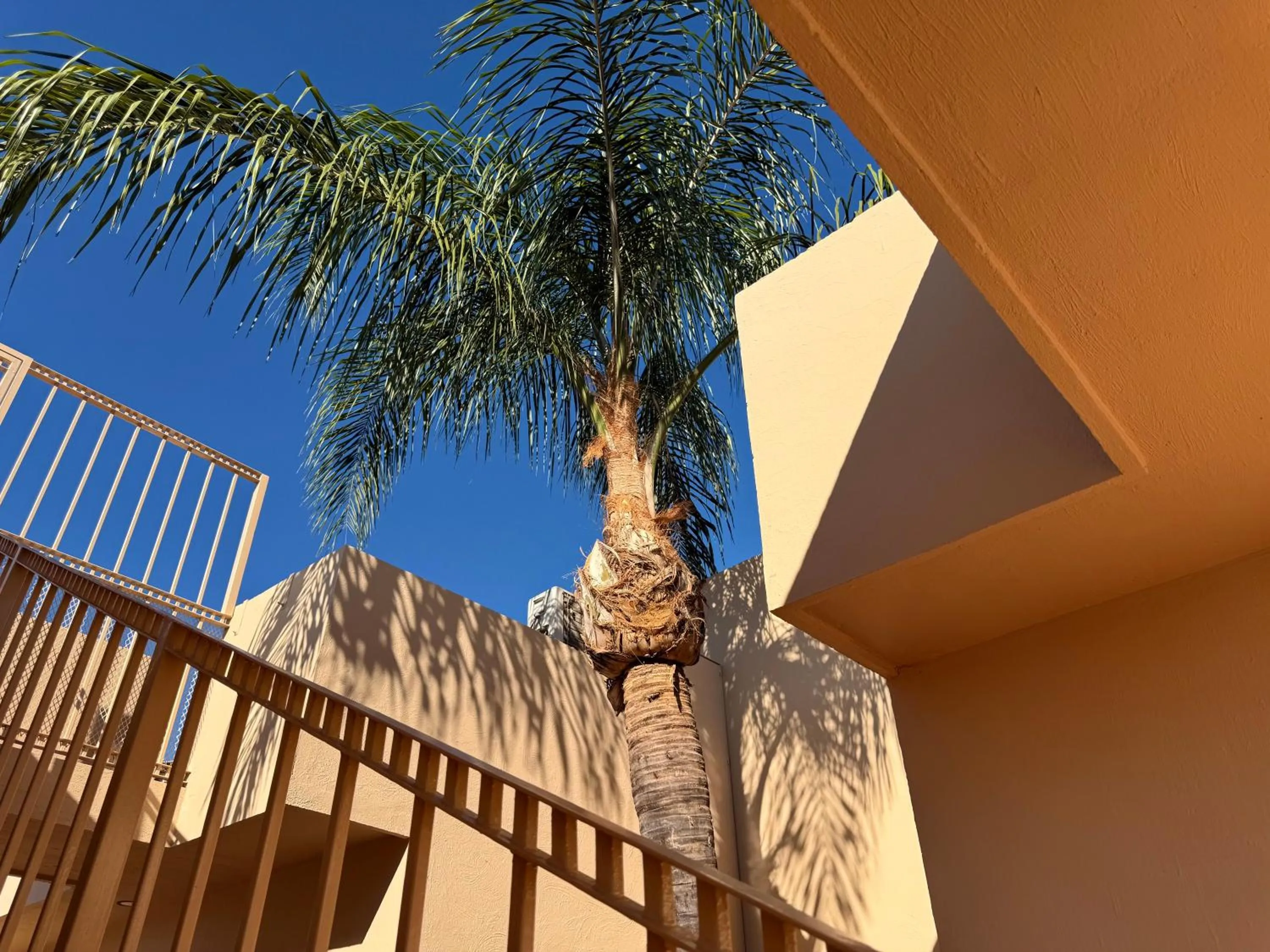 Departamentos Tequila