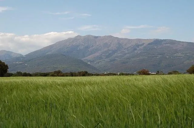 Natural landscape in Turó de L´Home
