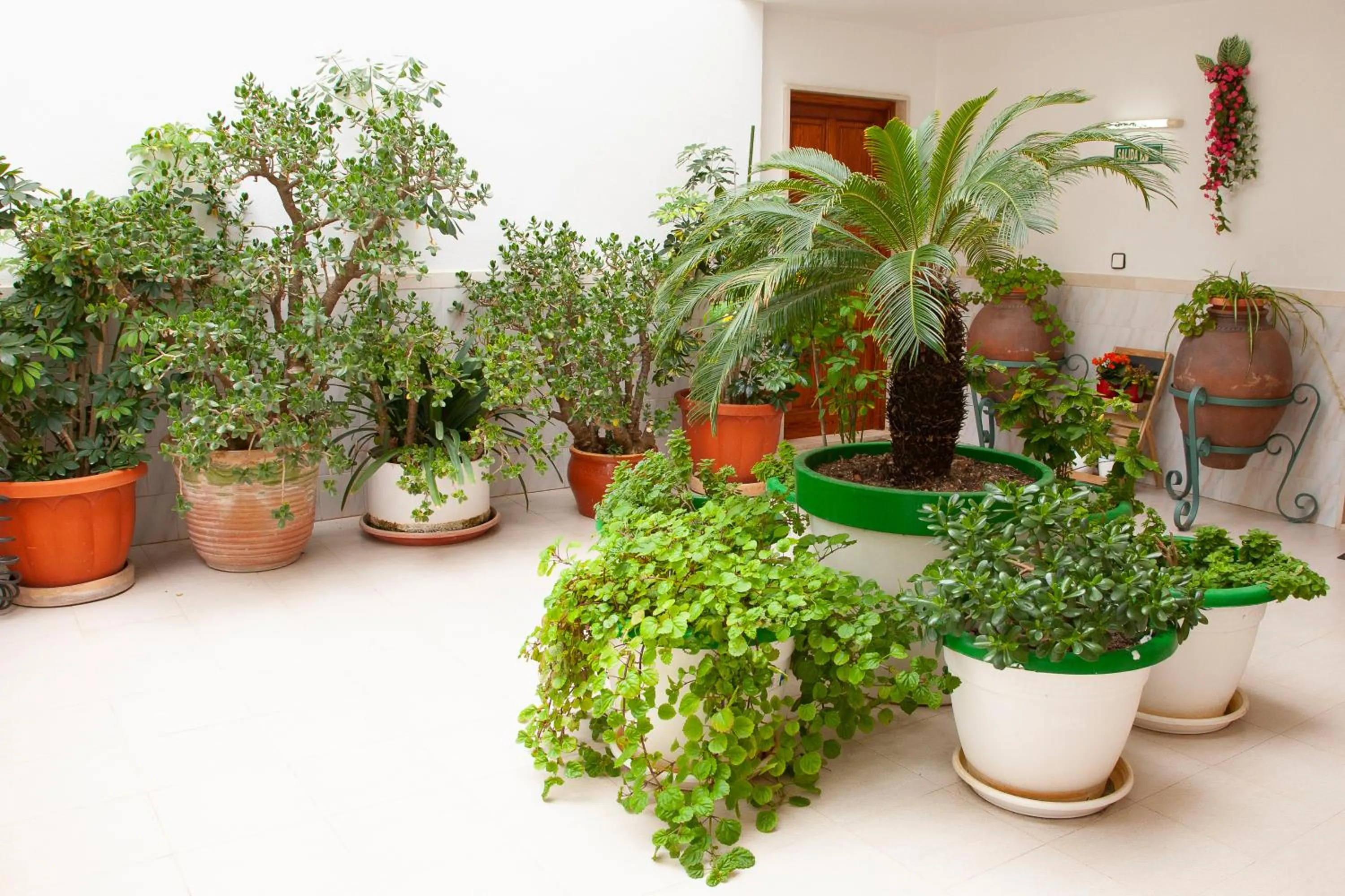 Garden in Atalaya Bosque Apartamentos