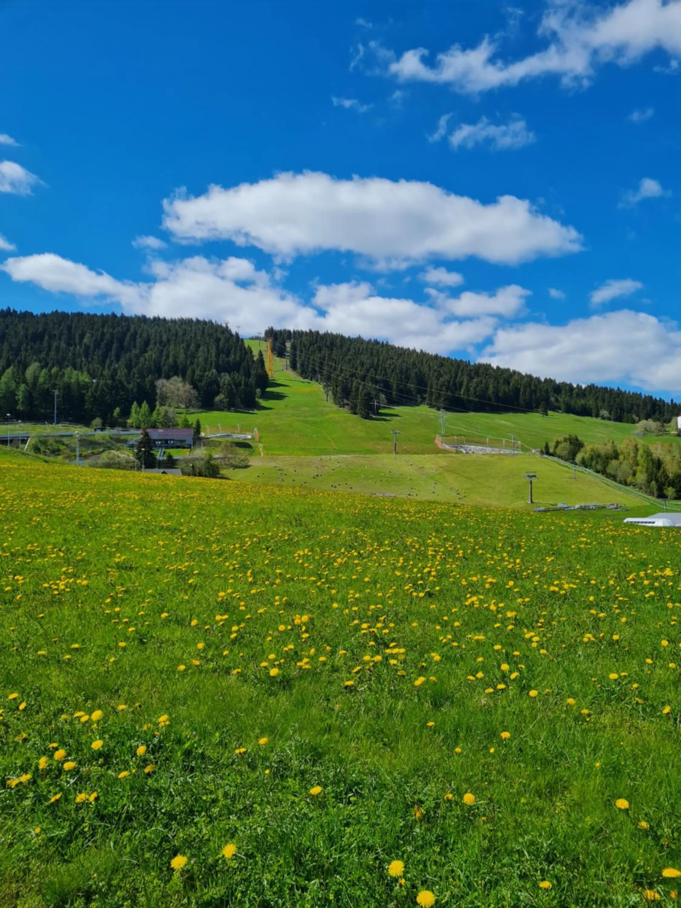 Natural landscape in Apartment Fudel