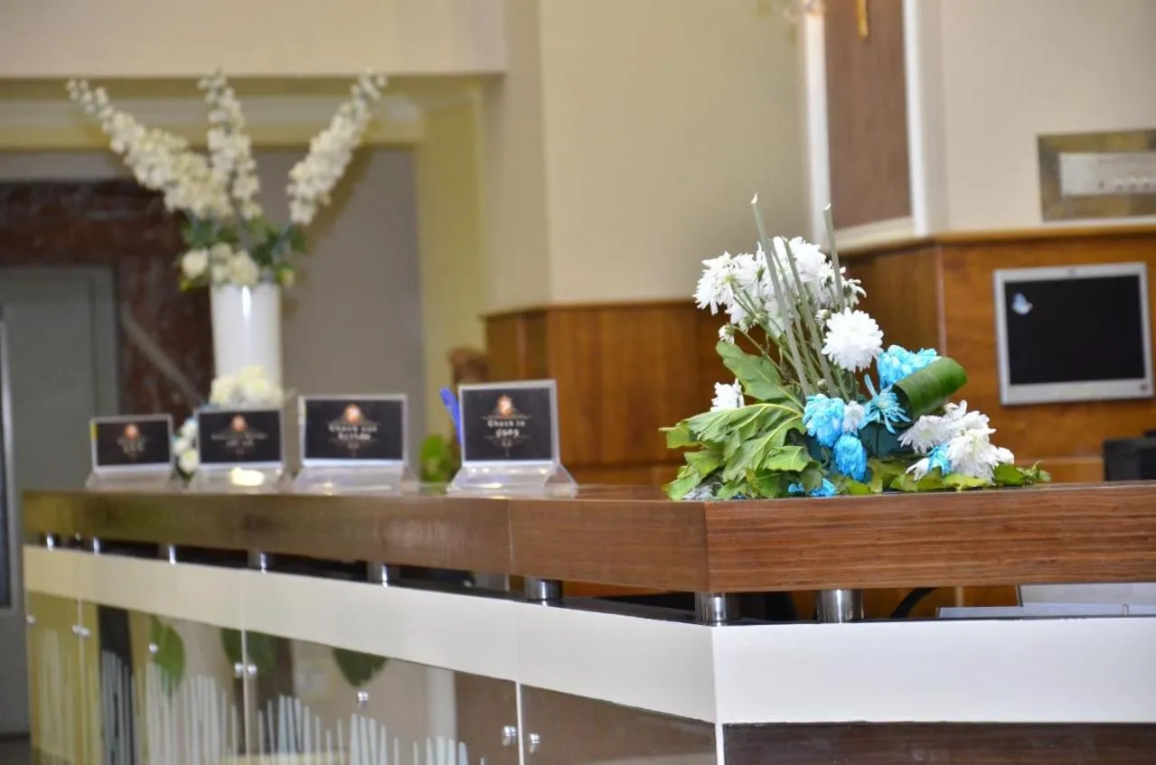 Paradise Home City Stars