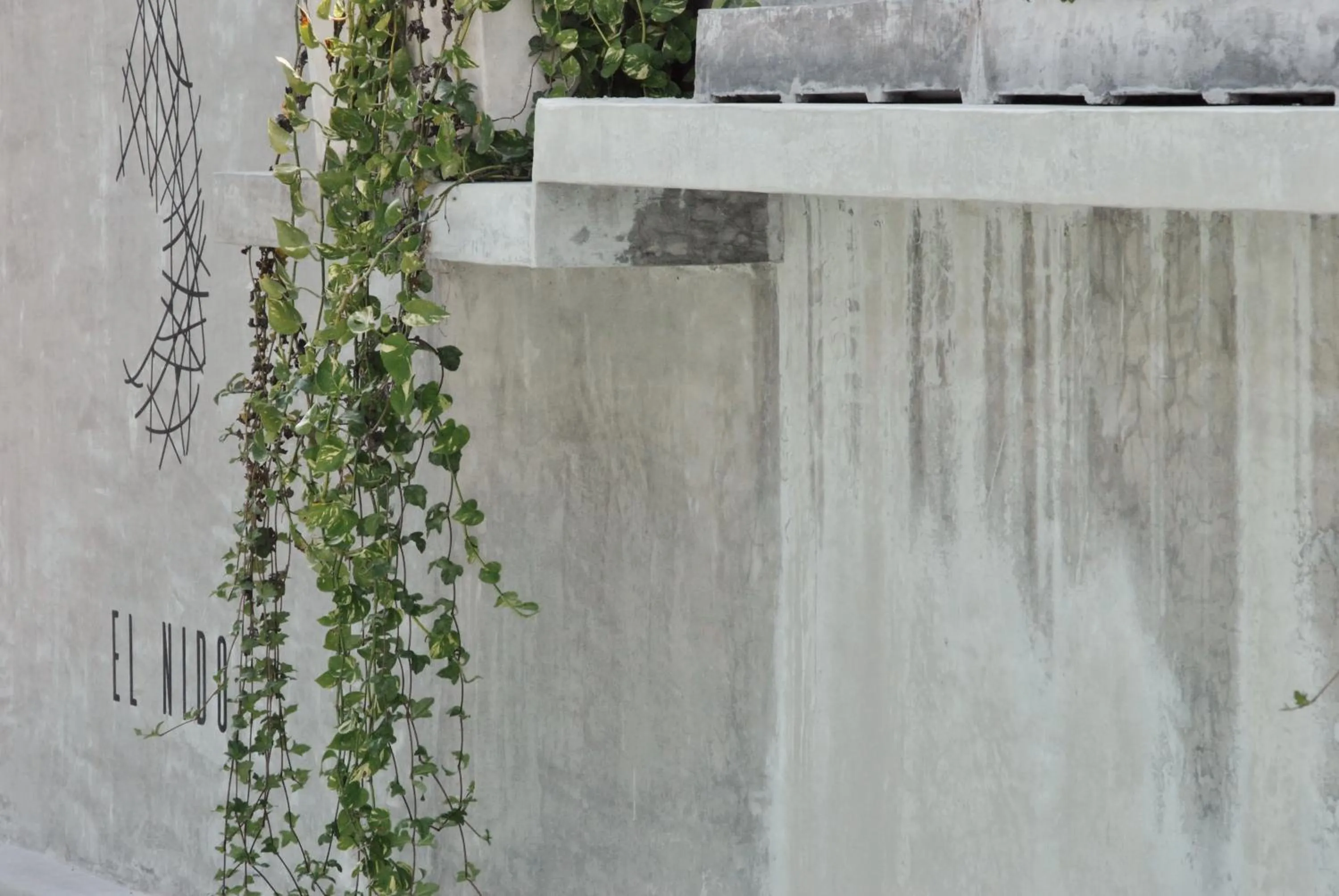 Swimming pool in Boutique Hotel EL NIDO Holbox