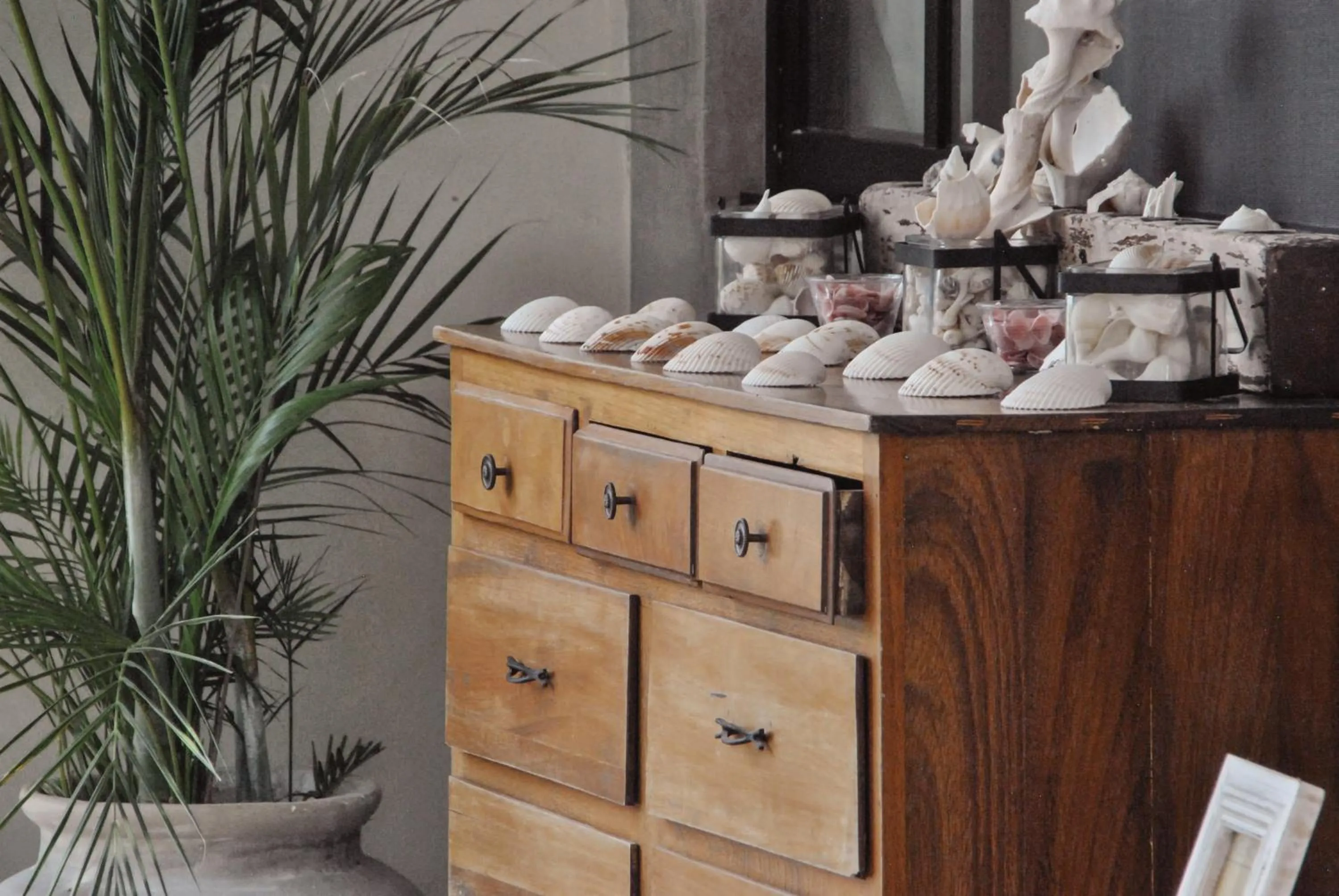 Decorative detail in Boutique Hotel EL NIDO Holbox