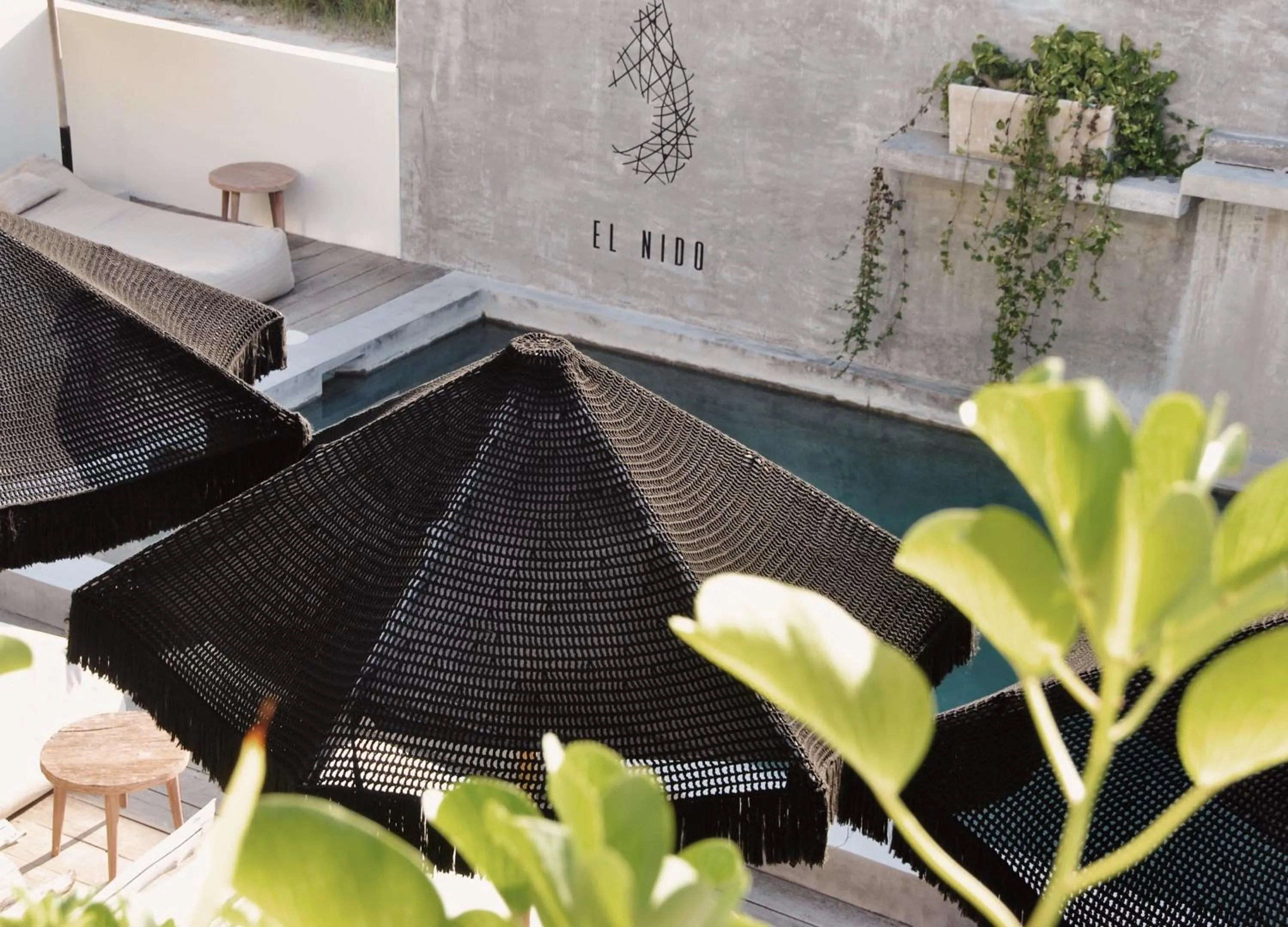 Swimming pool in Boutique Hotel EL NIDO Holbox