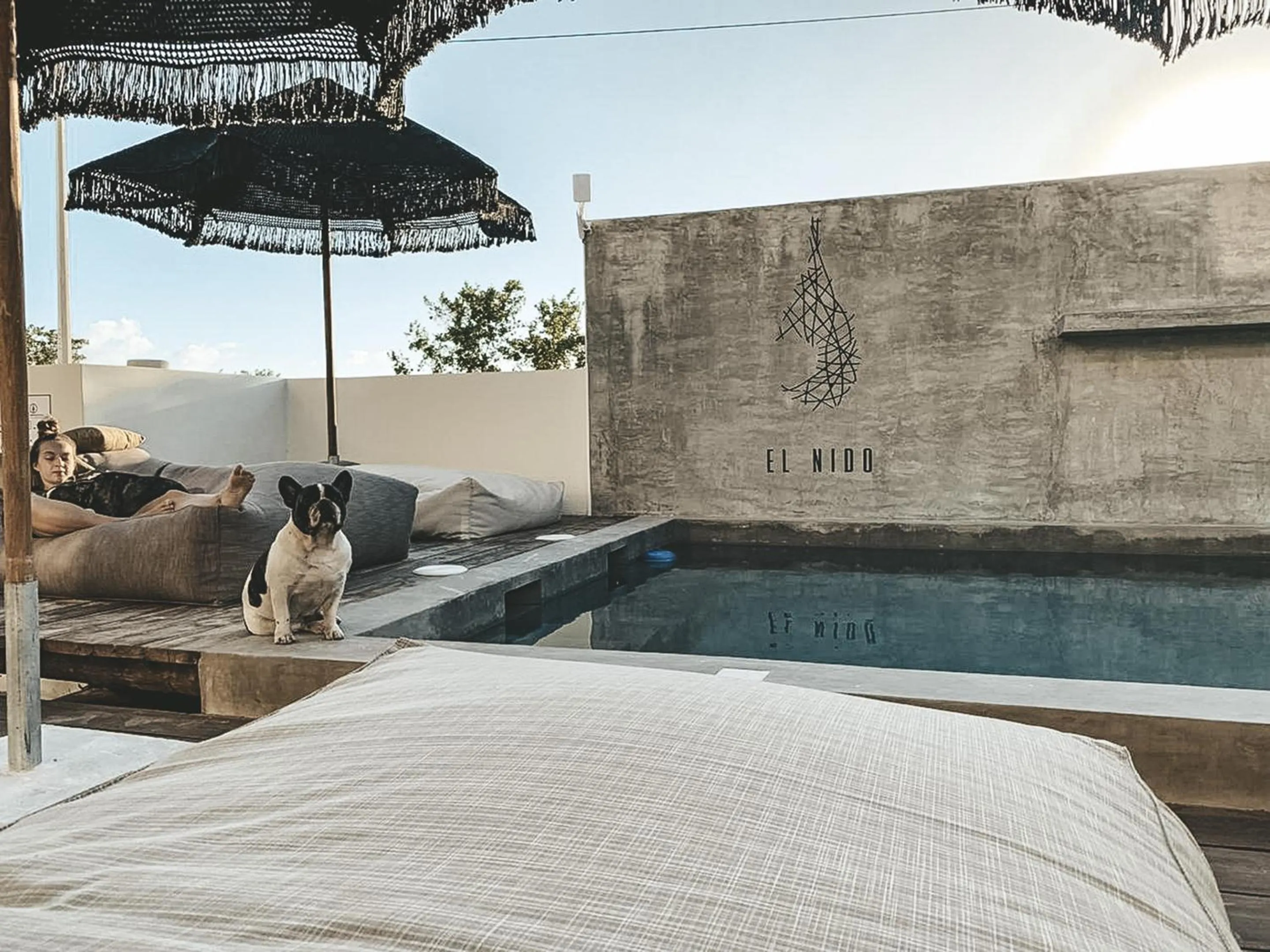 Swimming pool in Boutique Hotel EL NIDO Holbox