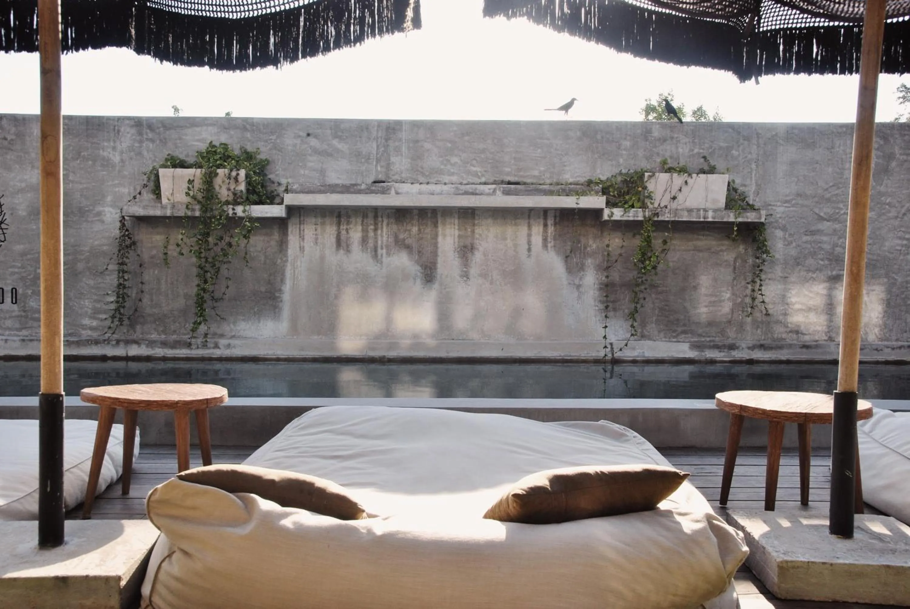 Swimming pool in Boutique Hotel EL NIDO Holbox