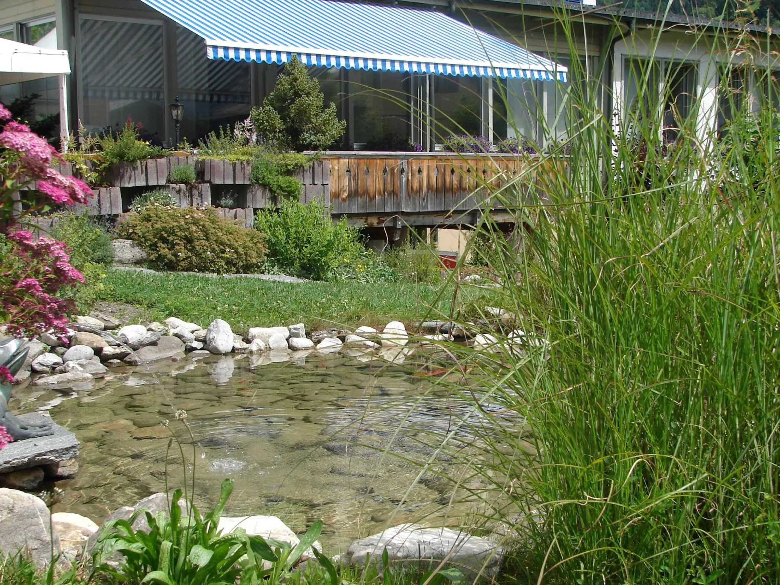 Animals in Parkhotel Bellevue Budget