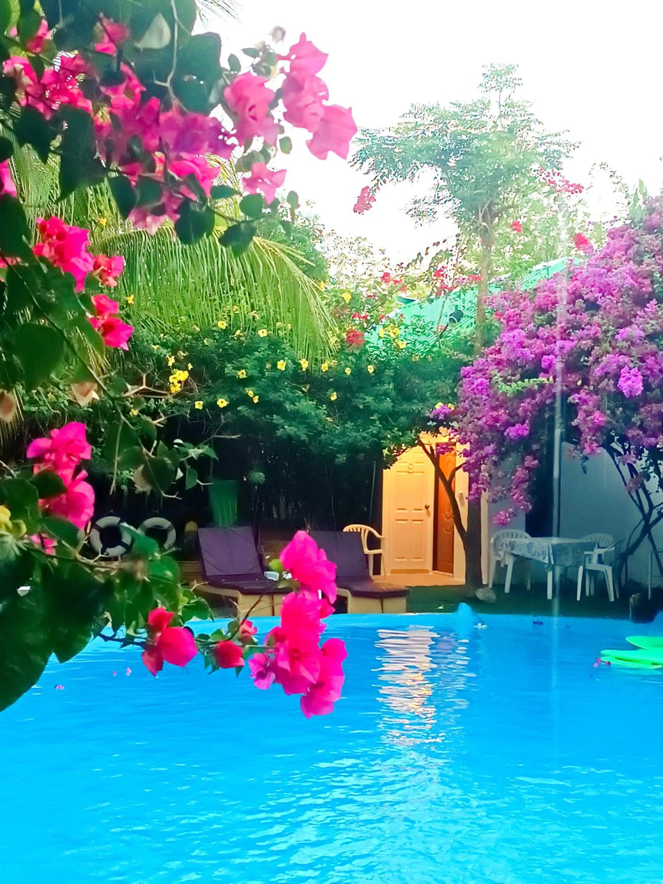 Spring in OASIS Phuket Airport