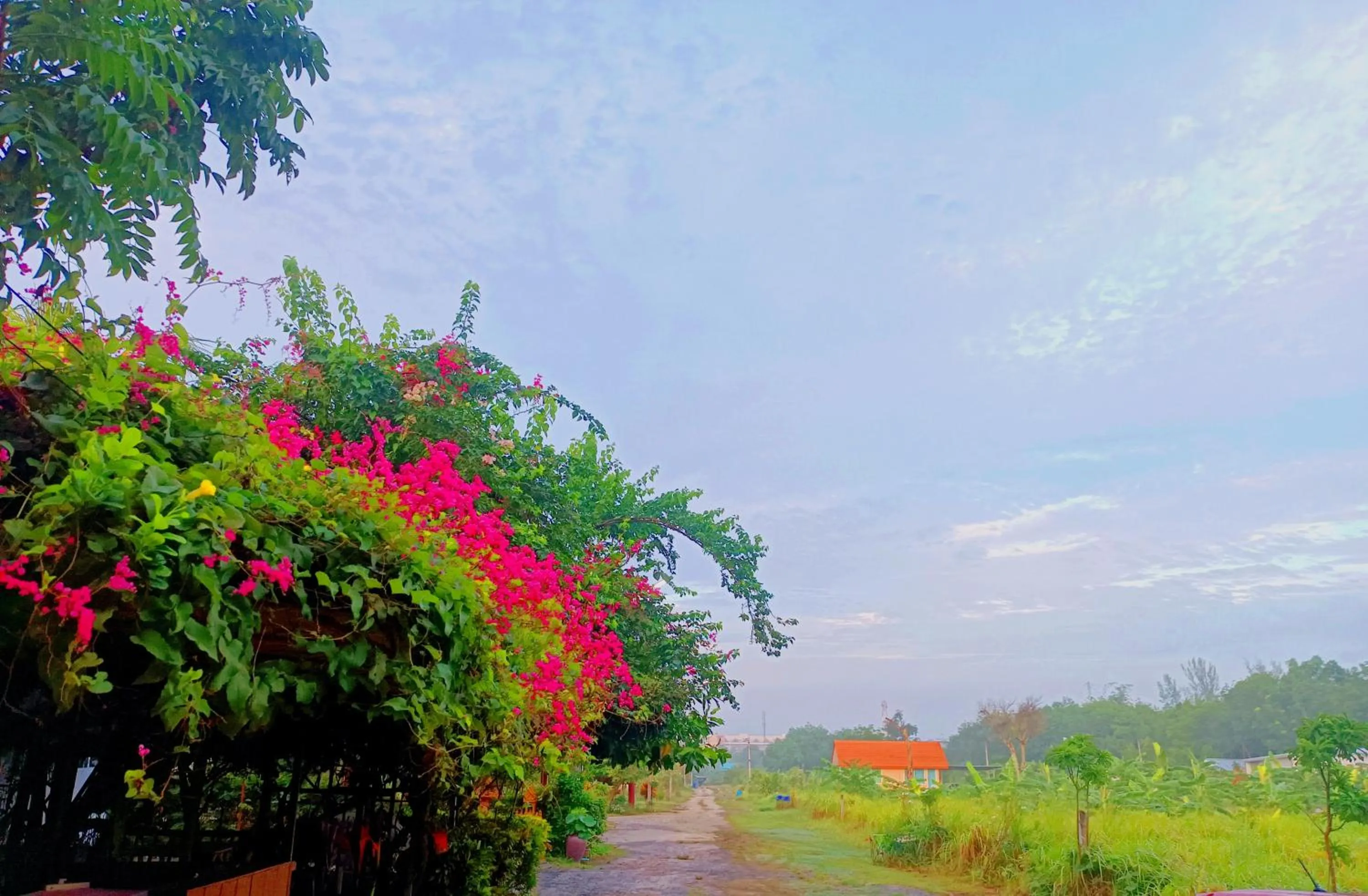 Facade/entrance in OASIS Phuket Airport