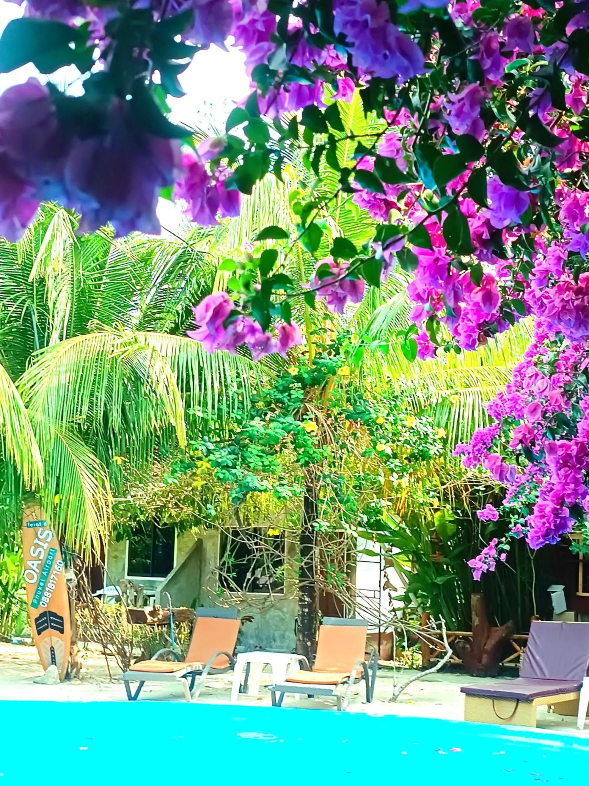 Patio in OASIS Phuket Airport