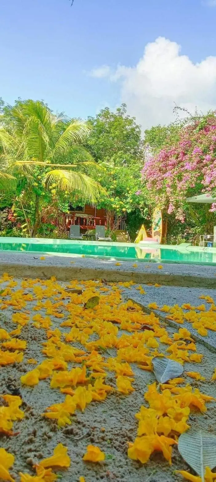 OASIS Phuket Airport