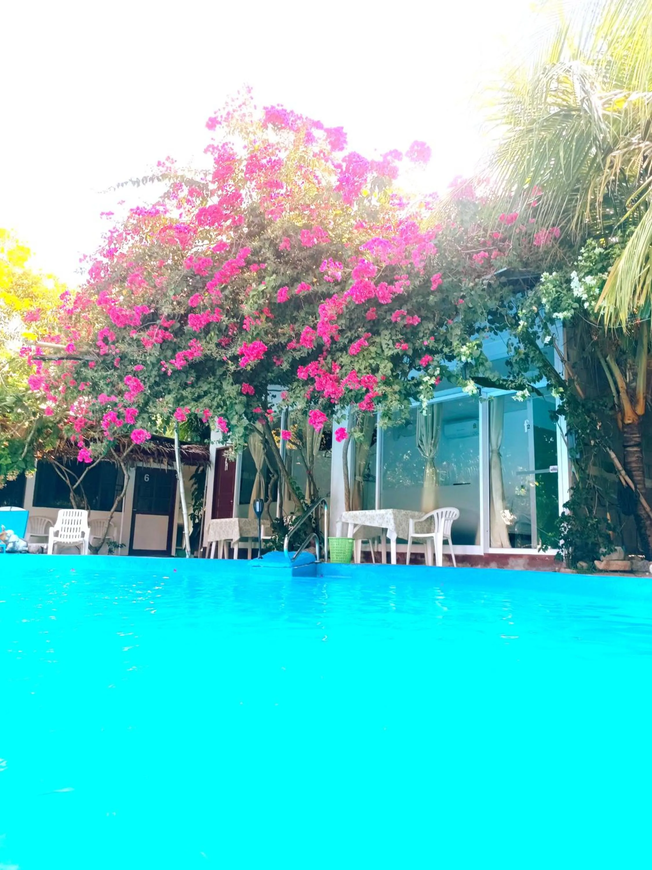 Property building in OASIS Phuket Airport