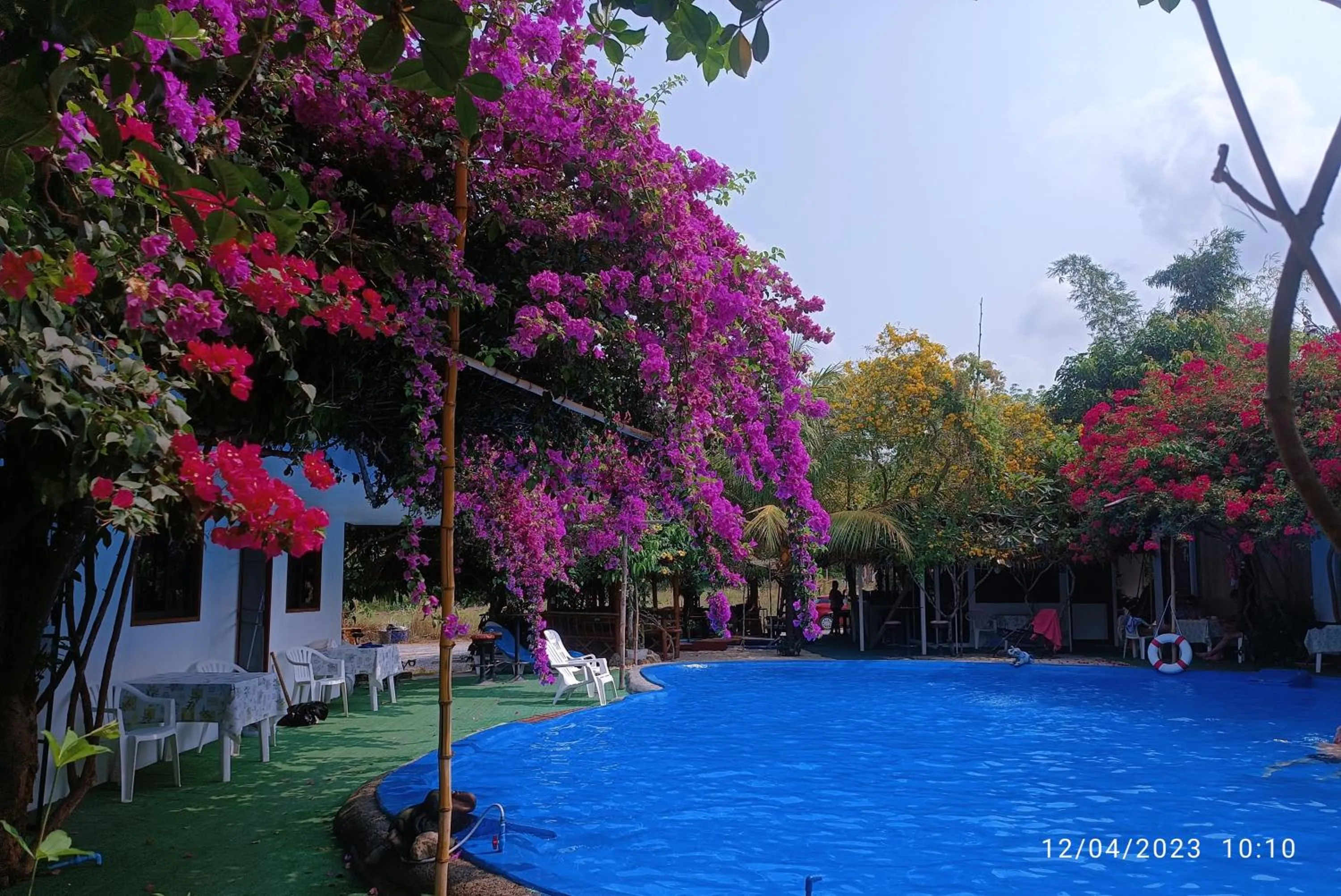 Natural landscape in OASIS Phuket Airport