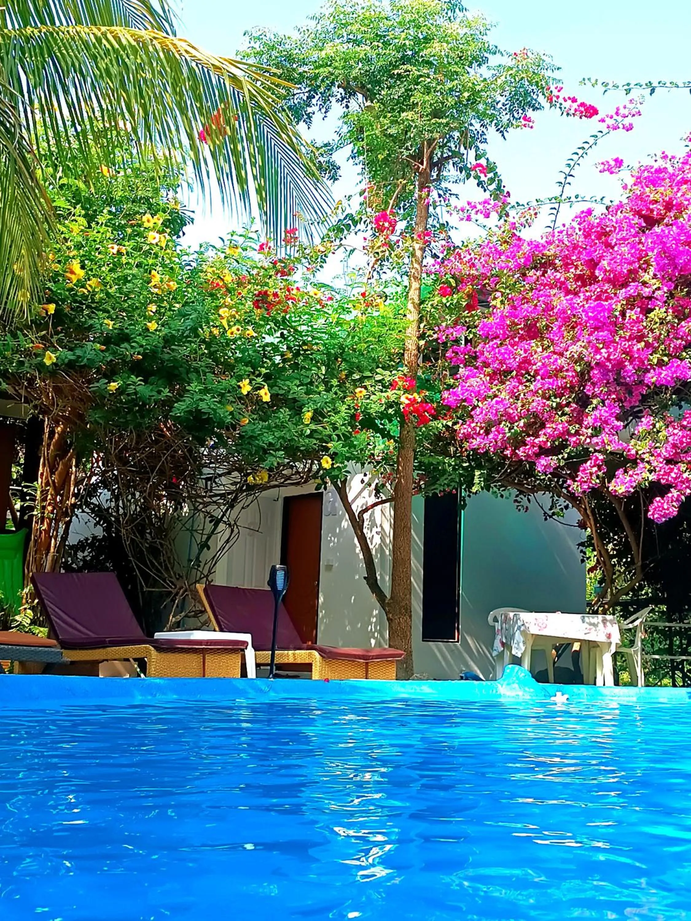 Patio in OASIS Phuket Airport