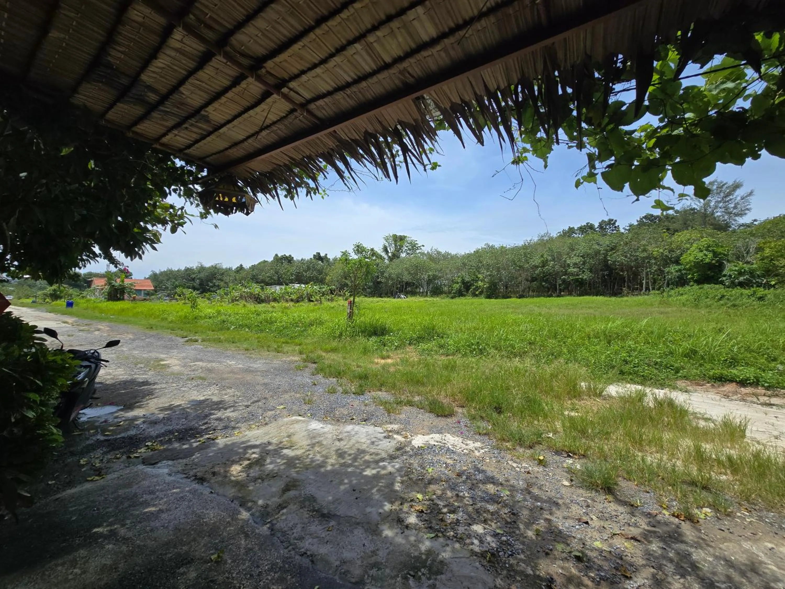 Natural landscape in OASIS Phuket Airport