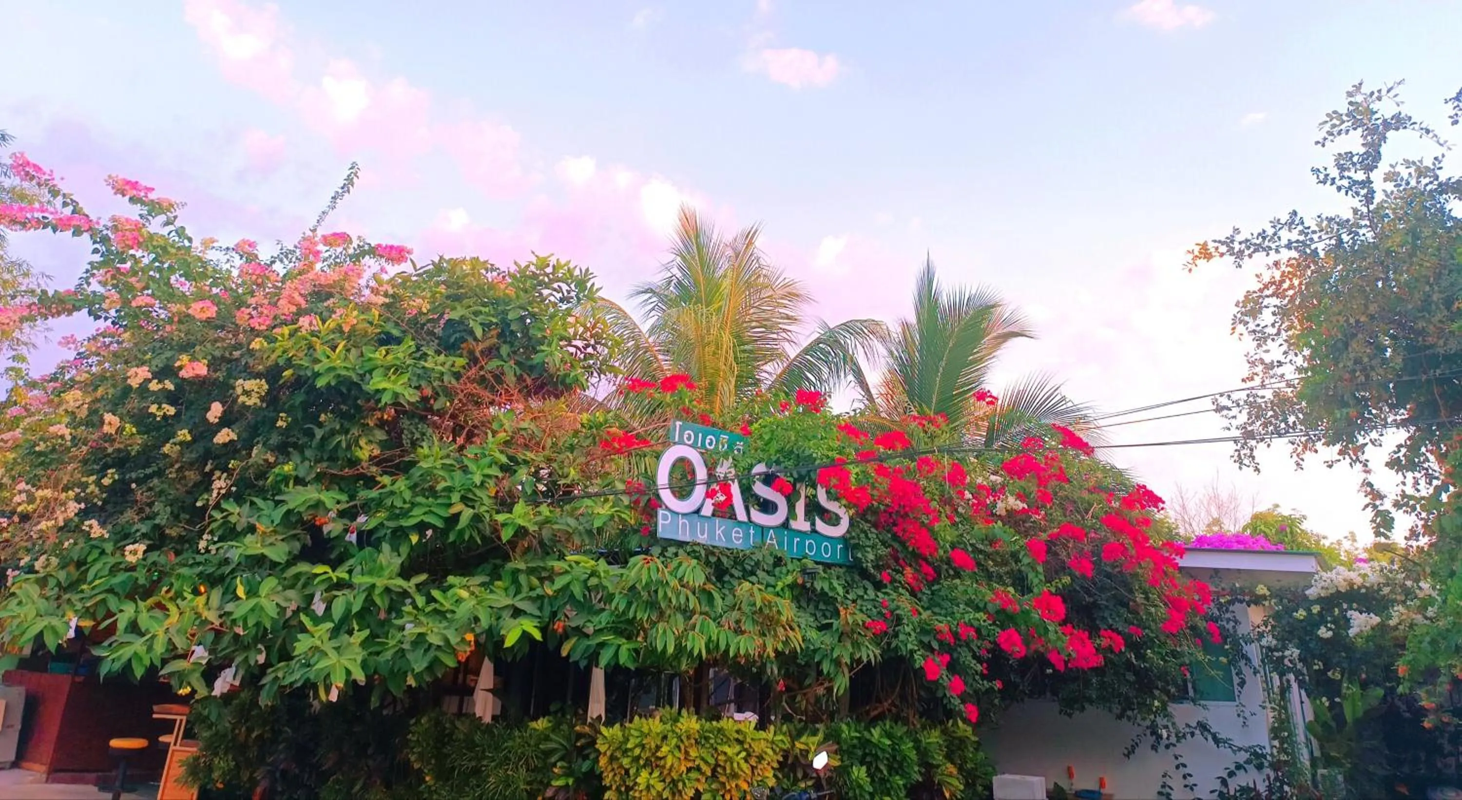 OASIS Phuket Airport