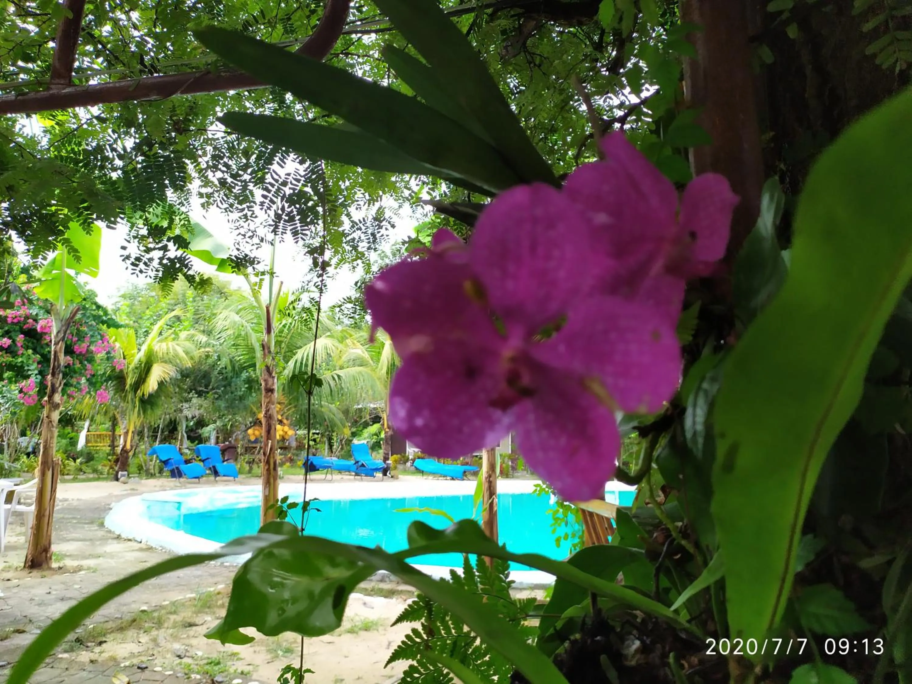 OASIS Phuket Airport