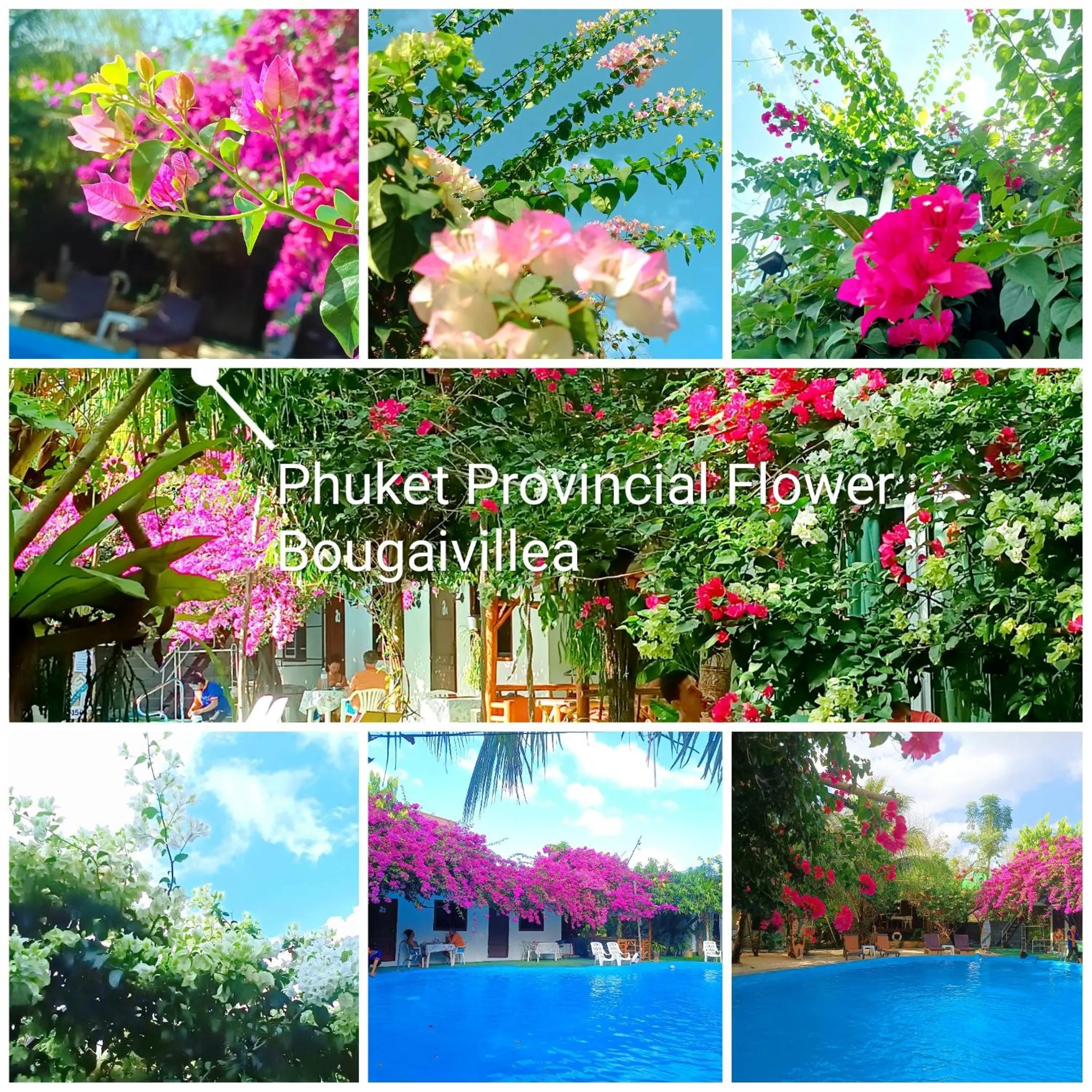 Day in OASIS Phuket Airport