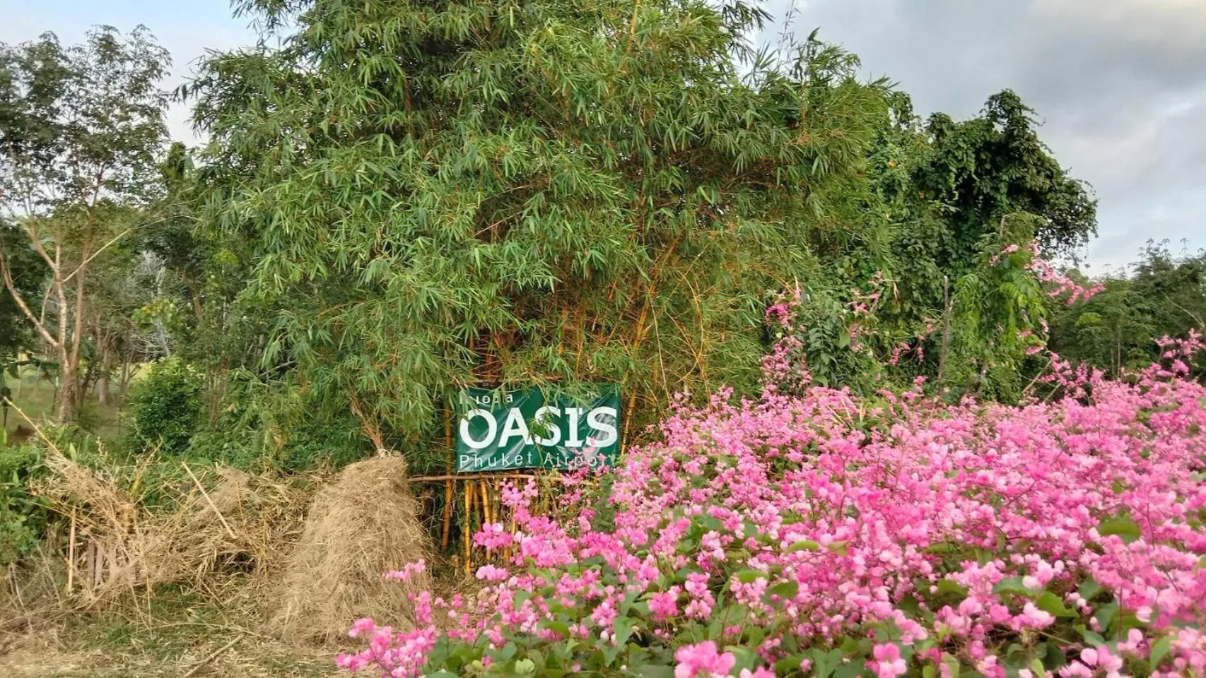 OASIS Phuket Airport