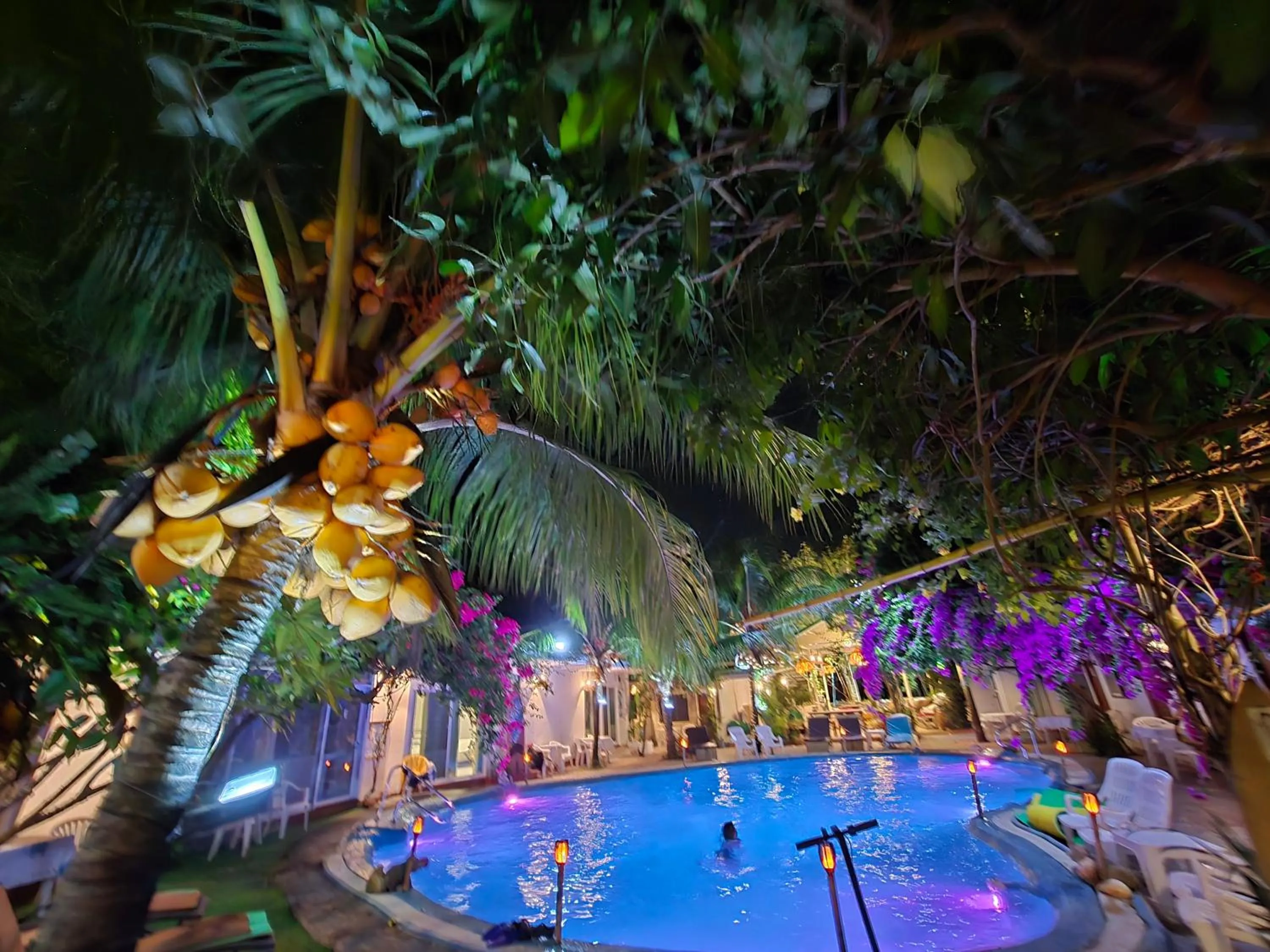 Pool view in OASIS Phuket Airport