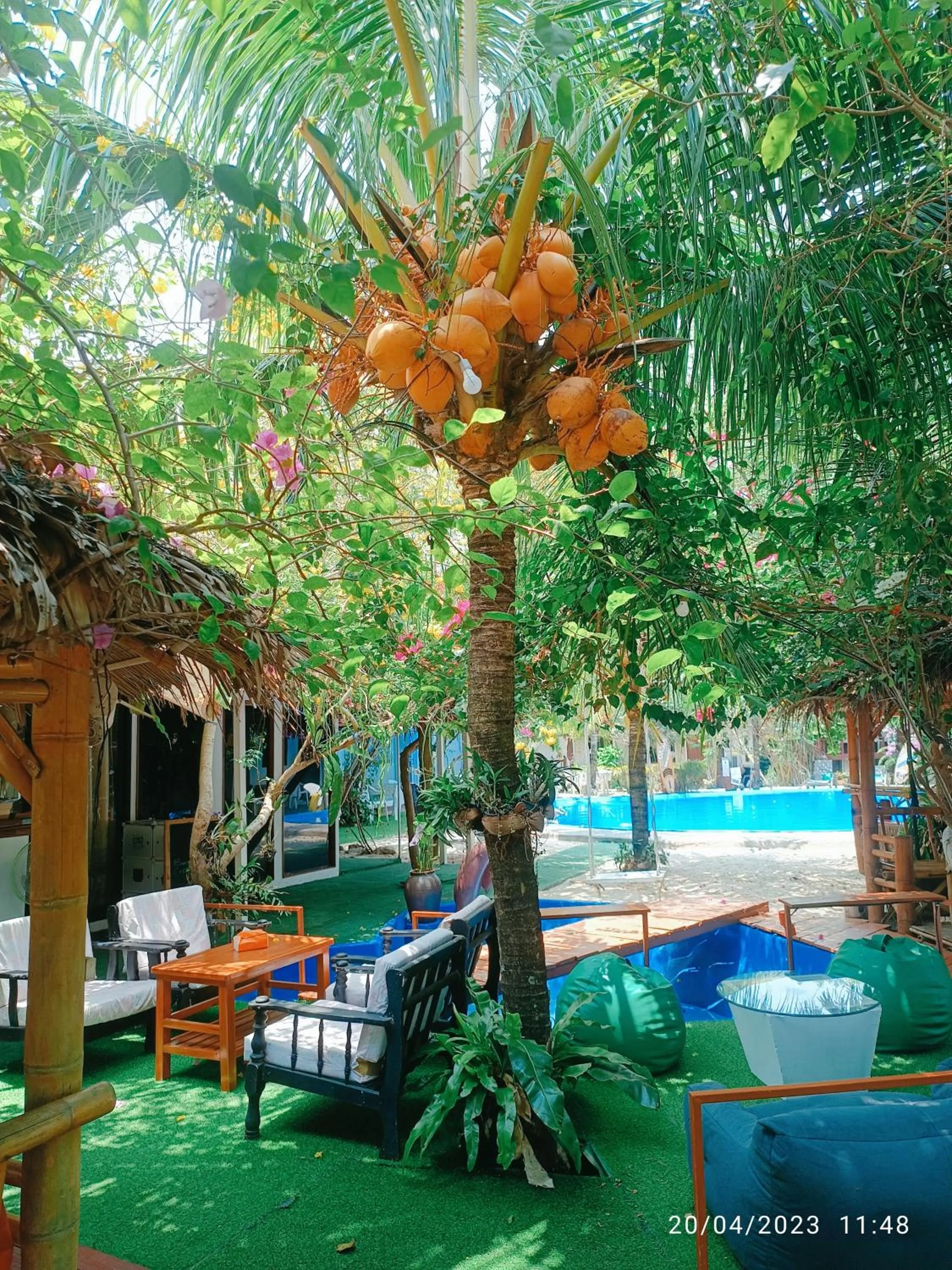 Restaurant/places to eat in OASIS Phuket Airport