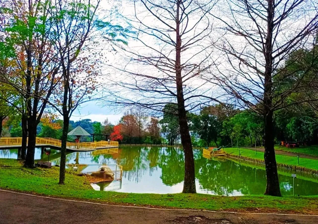 Day in Maestro Thermas Park Hotel