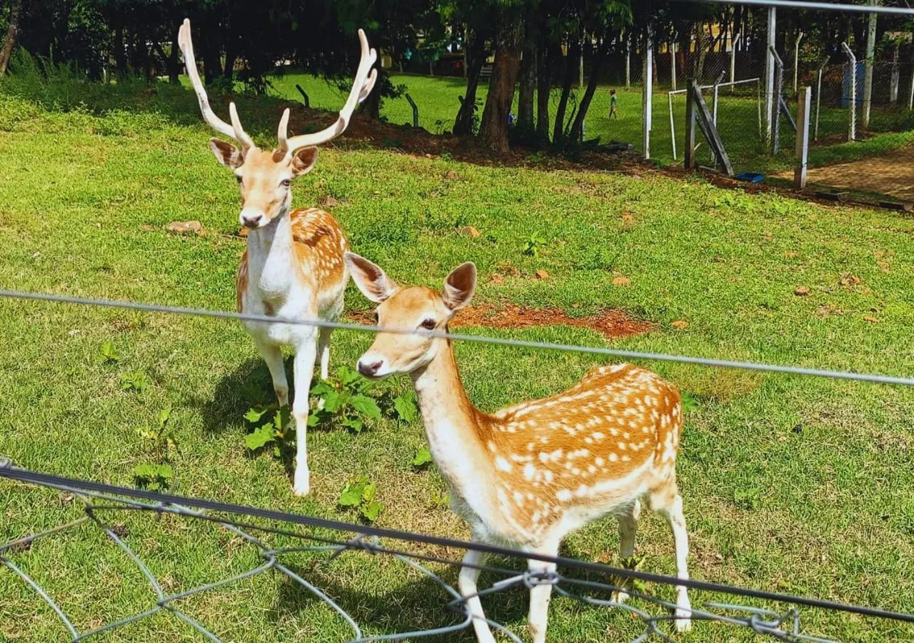 Day in Maestro Thermas Park Hotel