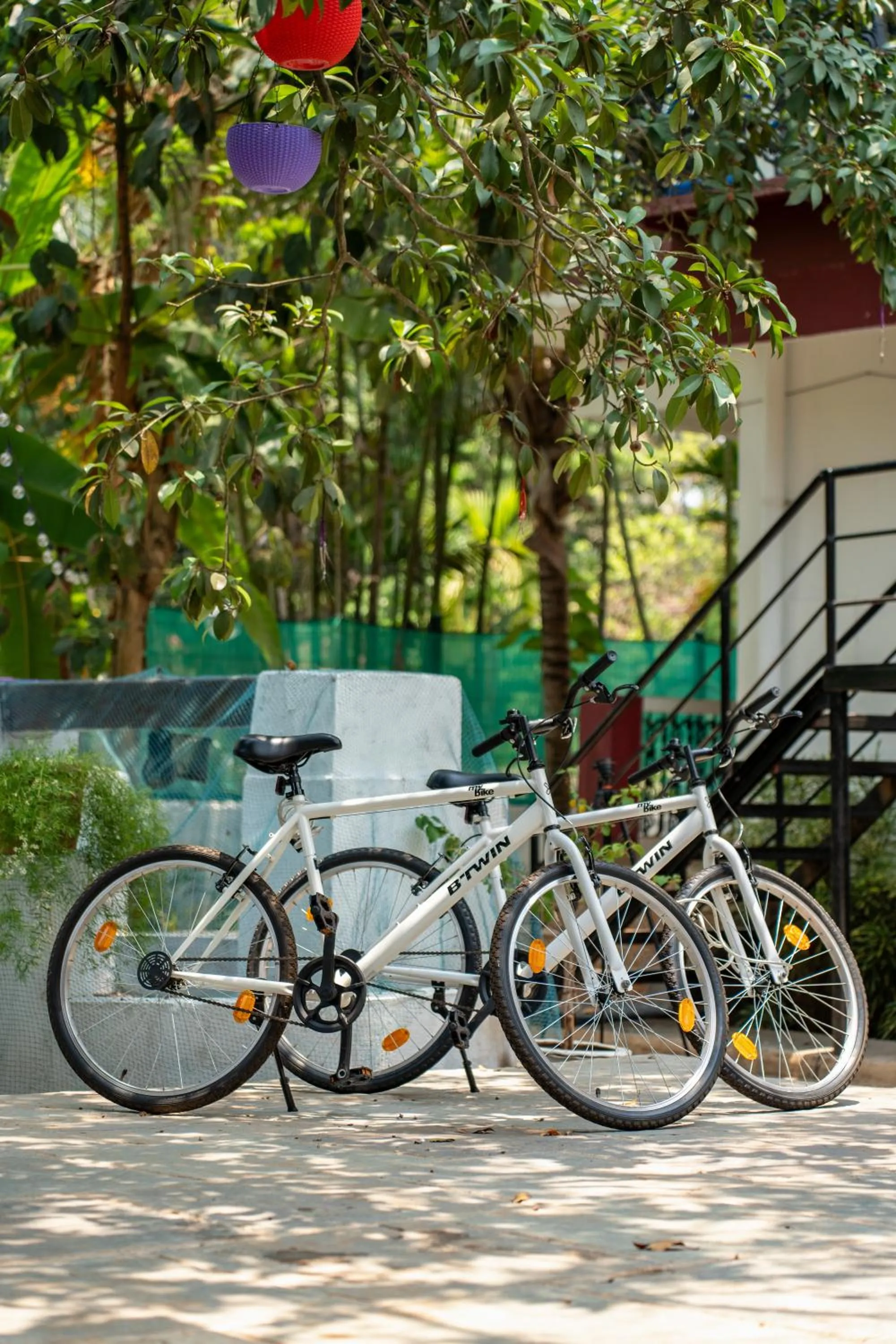 Cycling in Villa Barbosa, 2 BHK Villa & Luxury Rooms near Colva, Sernabatim, Benaulim Beach