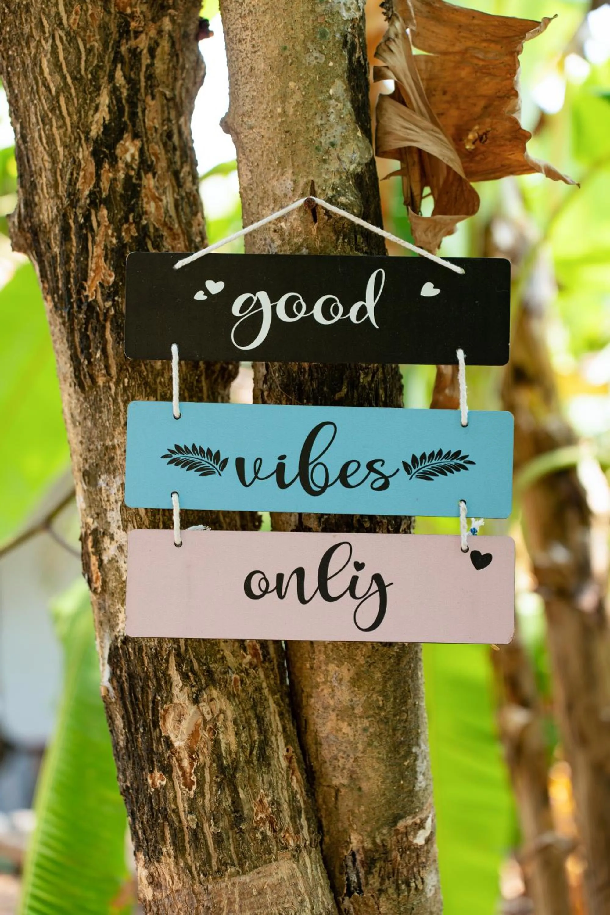 Garden in Villa Barbosa, 2 BHK Villa & Luxury Rooms near Colva, Sernabatim, Benaulim Beach