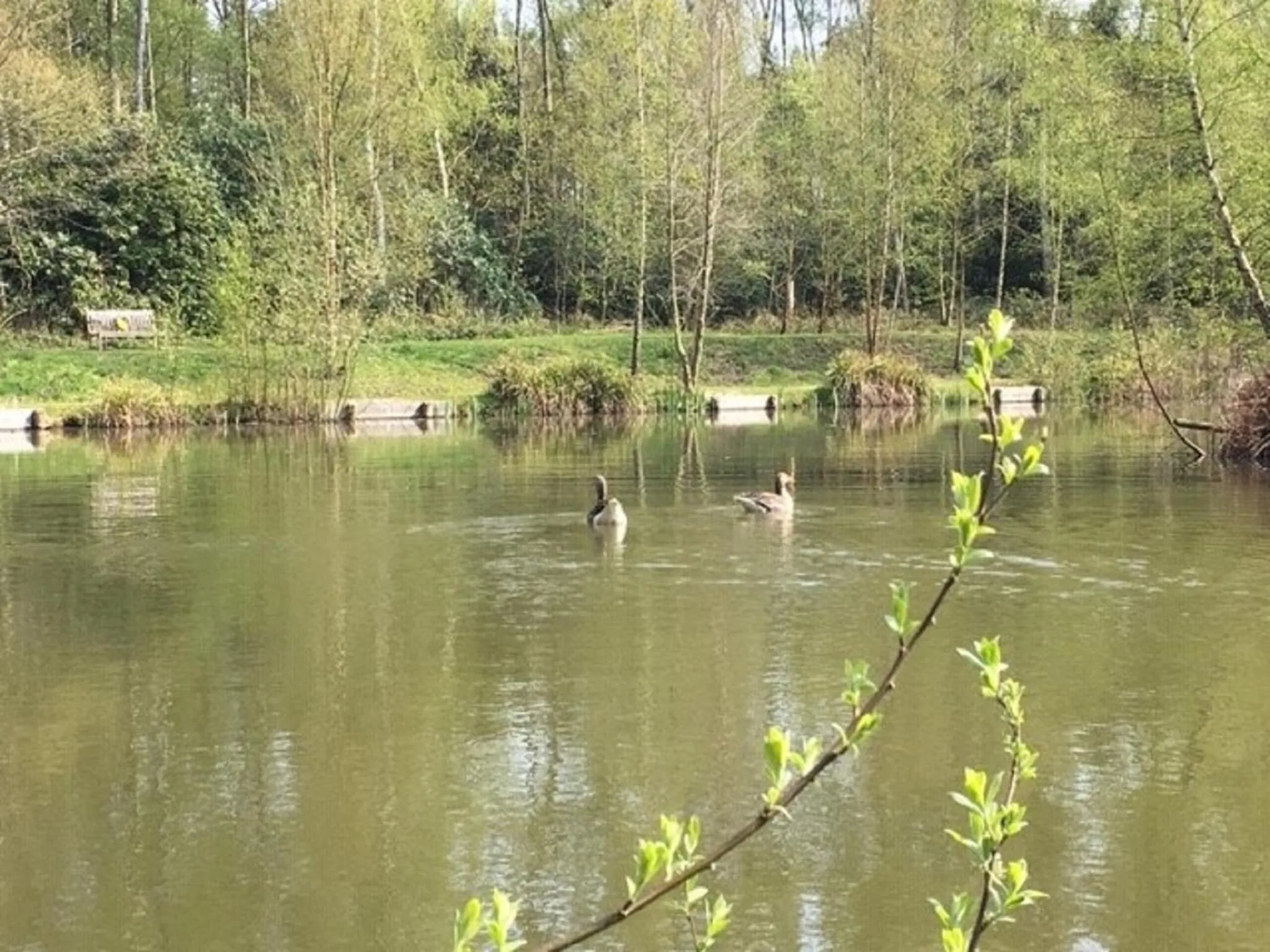 Natural landscape in Hollicarrs - Stag Lodge