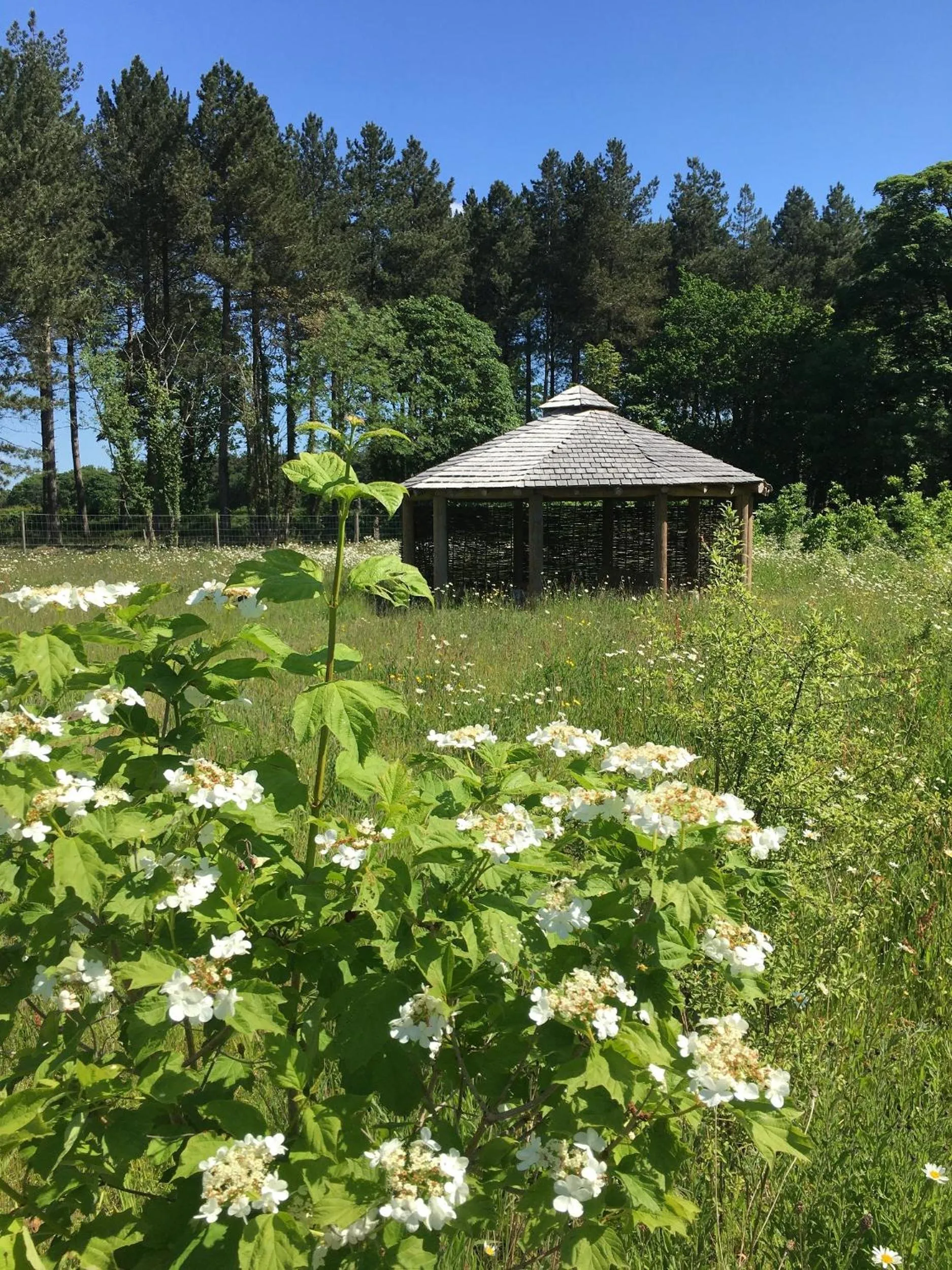 Natural landscape in Hollicarrs - Stag Lodge