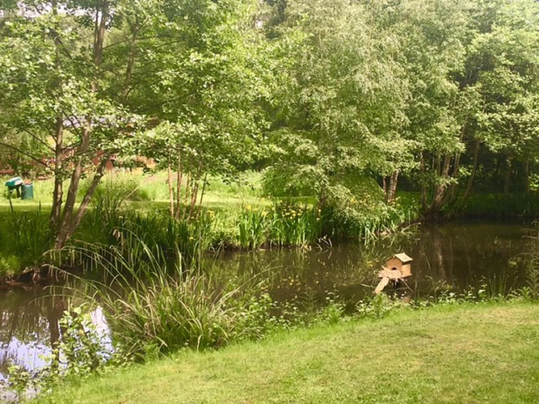 Natural landscape in Hollicarrs - Stag Lodge