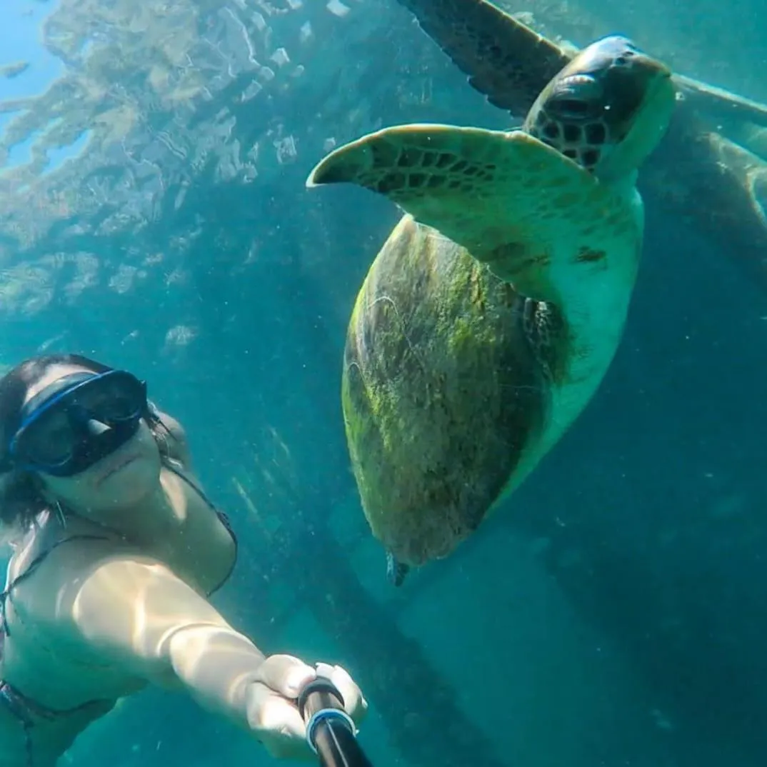 Suítes Carla e Carol