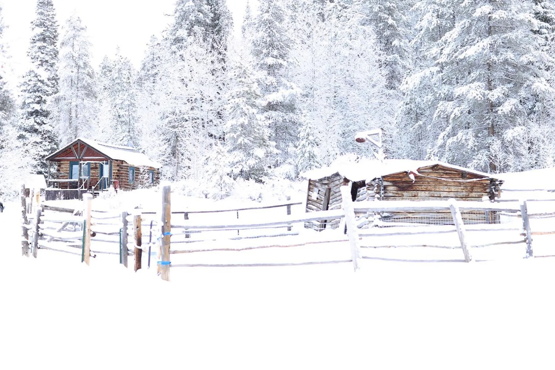 Neighbourhood in Beyul Retreat