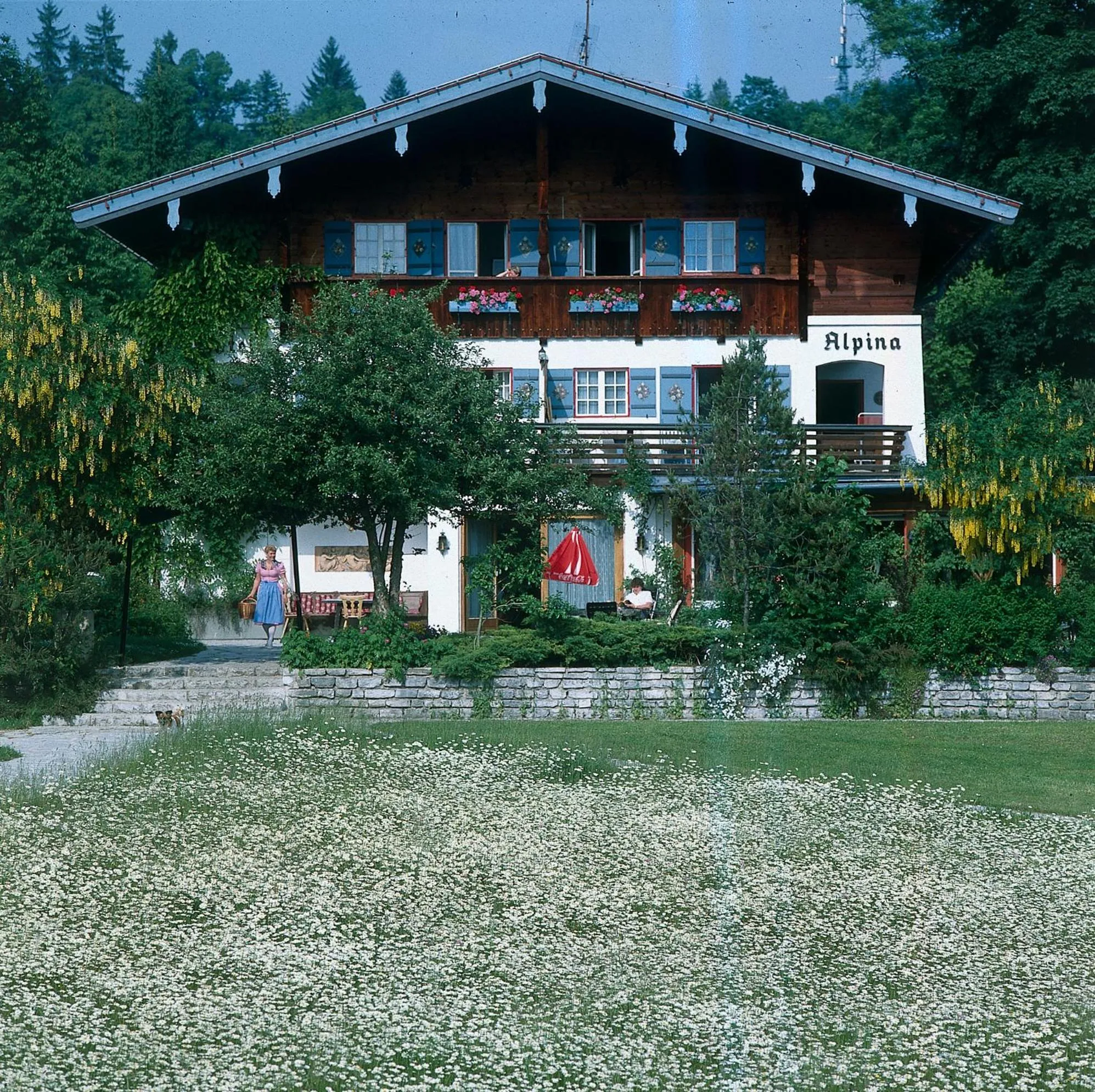 Property building in Stoll's Hotel Alpina