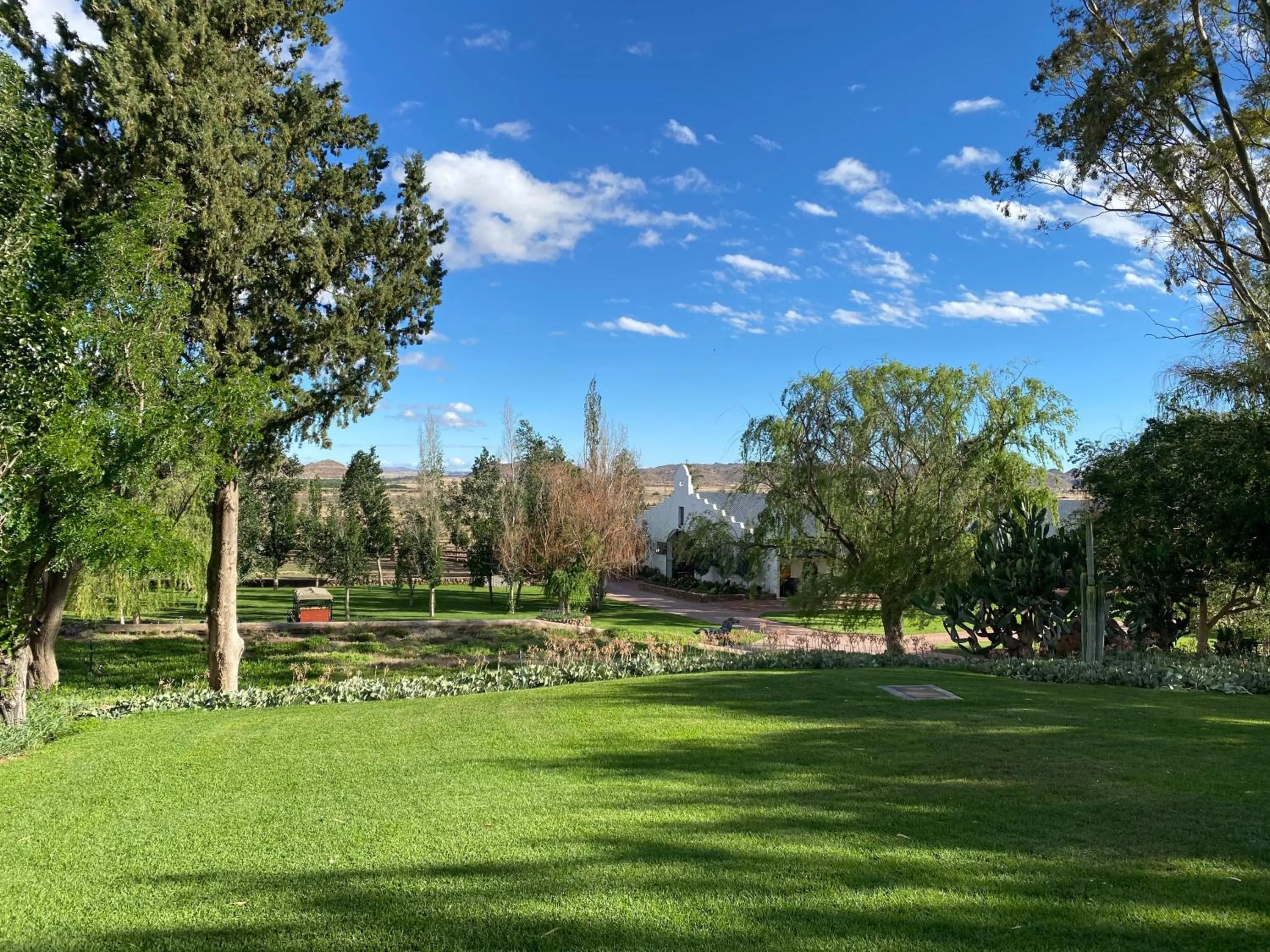Garden in Big Sky Ranch