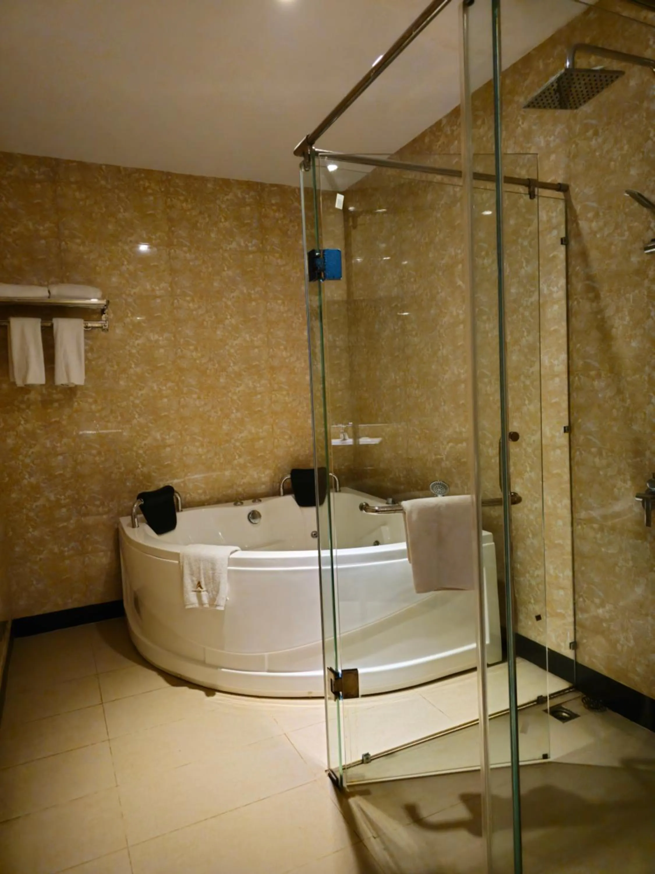 Toilet in Grand Sydney Hotel