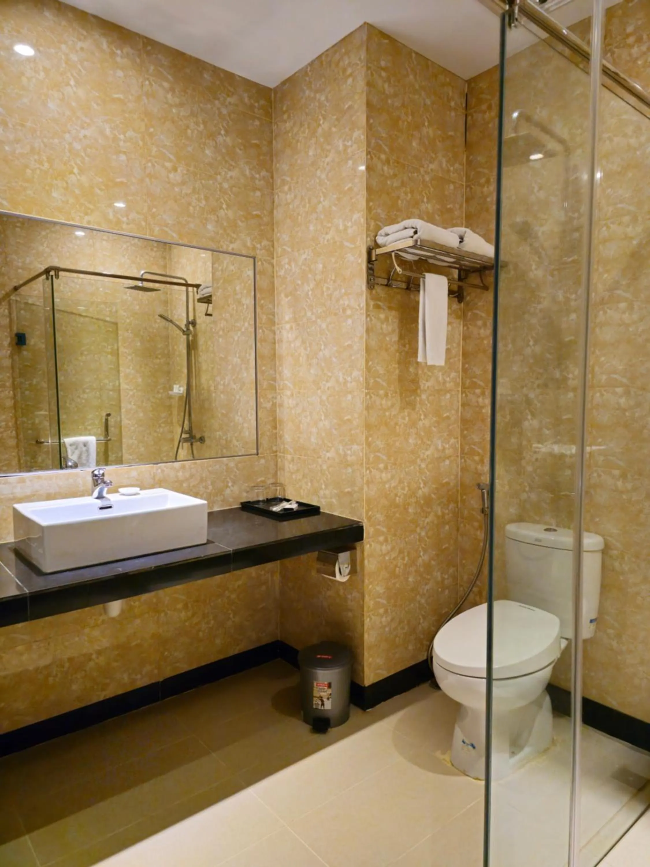 Toilet in Grand Sydney Hotel