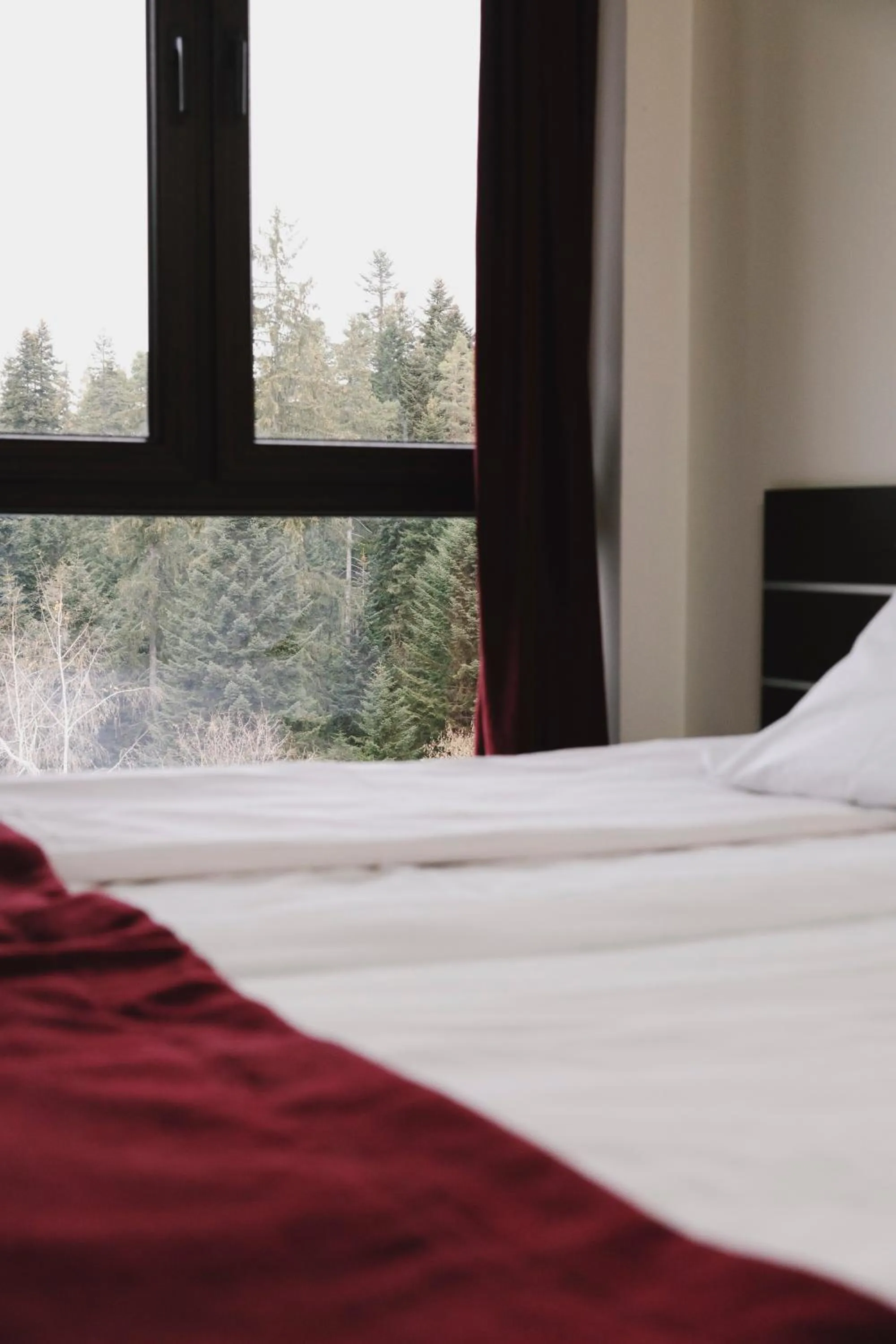 Bed in Borovets Green Hotel