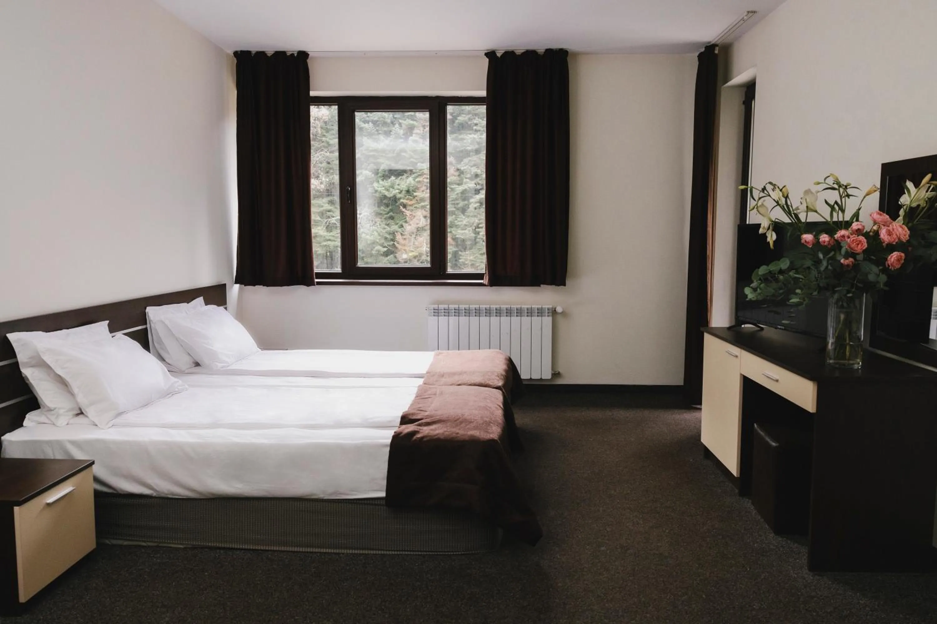 Bed in Borovets Green Hotel